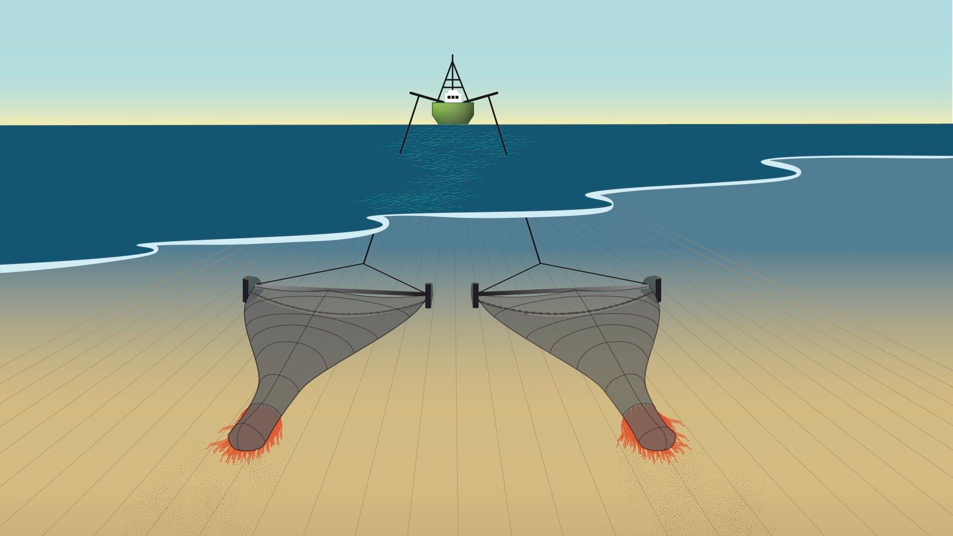 Die Grafik zeigt, wie ein Kutter sein Grundschleppnetz über den Meeresboden schleift. Die Plastikfäden (Dolly Ropes) sollen es vor Abreibung schützen.