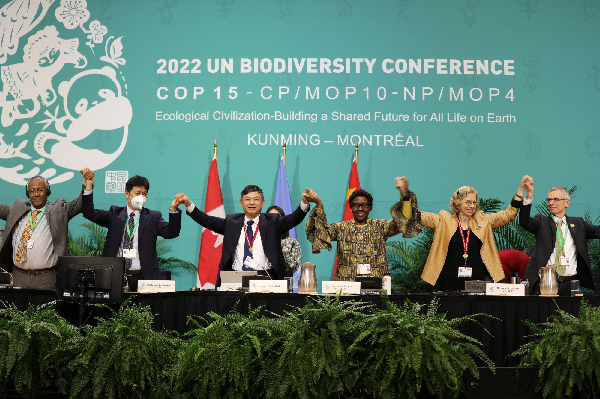 Das Präsidium der CBD steht auf dem Podium und hält sich an den Händen