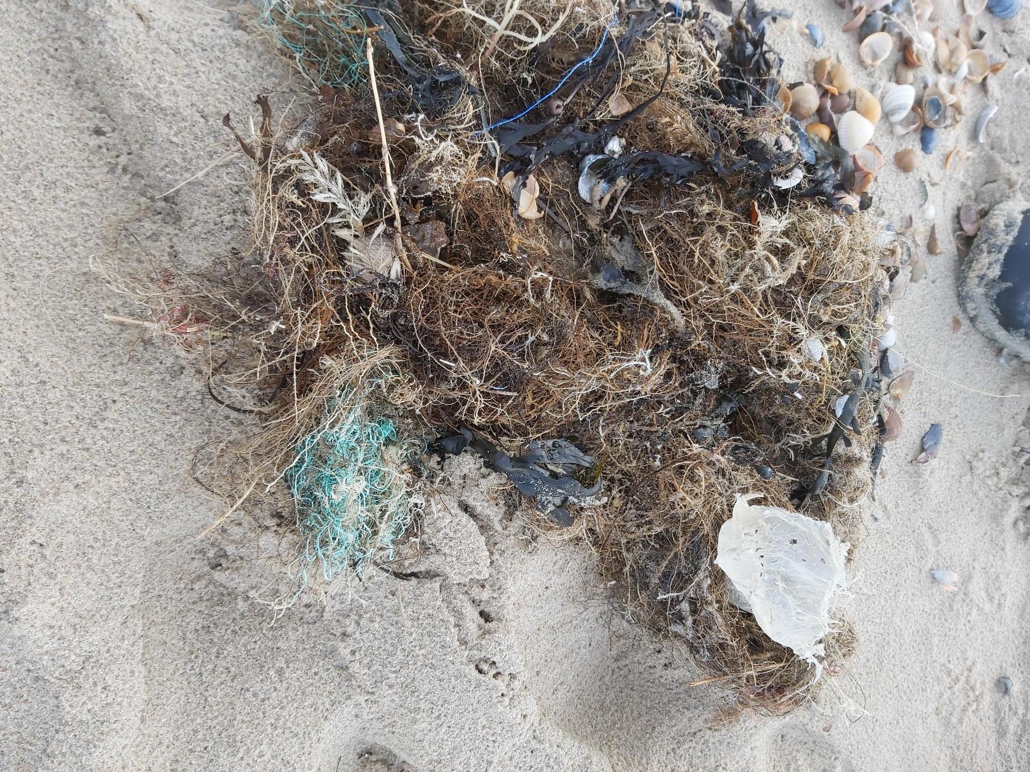 Foto zeigt ein typisches Fundstück am niederländischen Strand: blaue und orangefarbene Plastikfäden der Fischernetze.