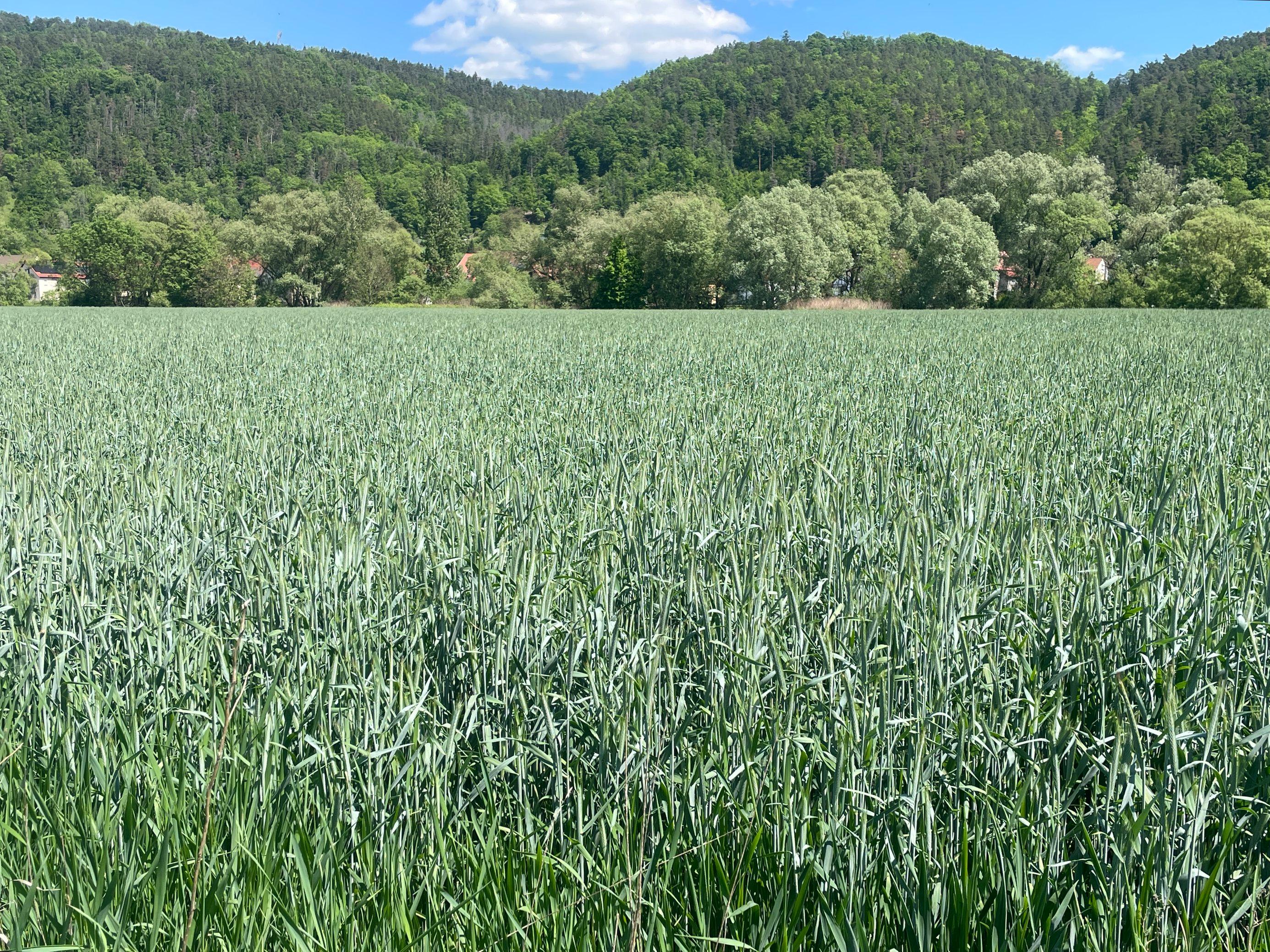 Acker in Hügel-Fluss-Landschaft