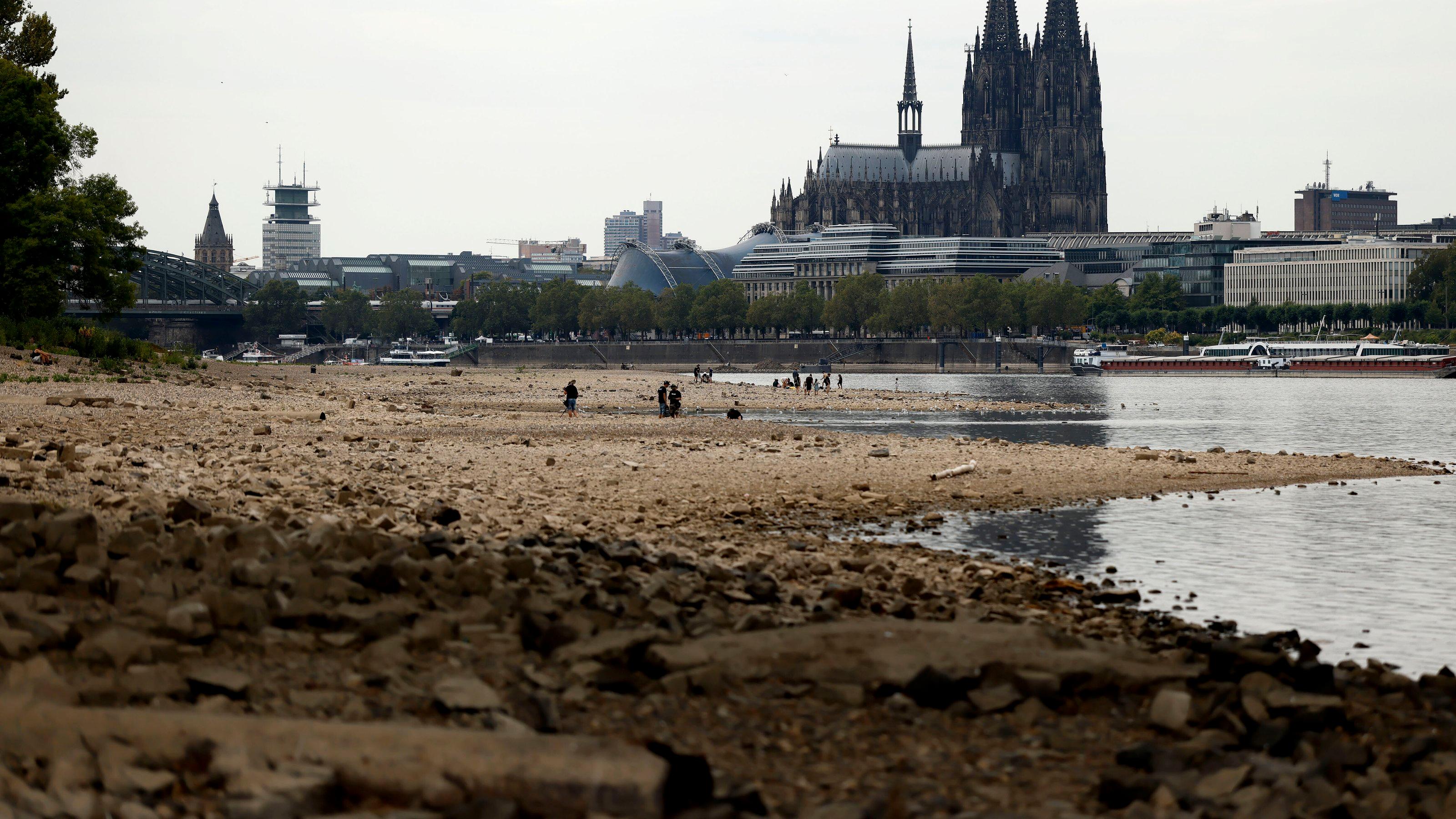 Der Kölner Dom ragt über ausgetrocknetes Flussbett.