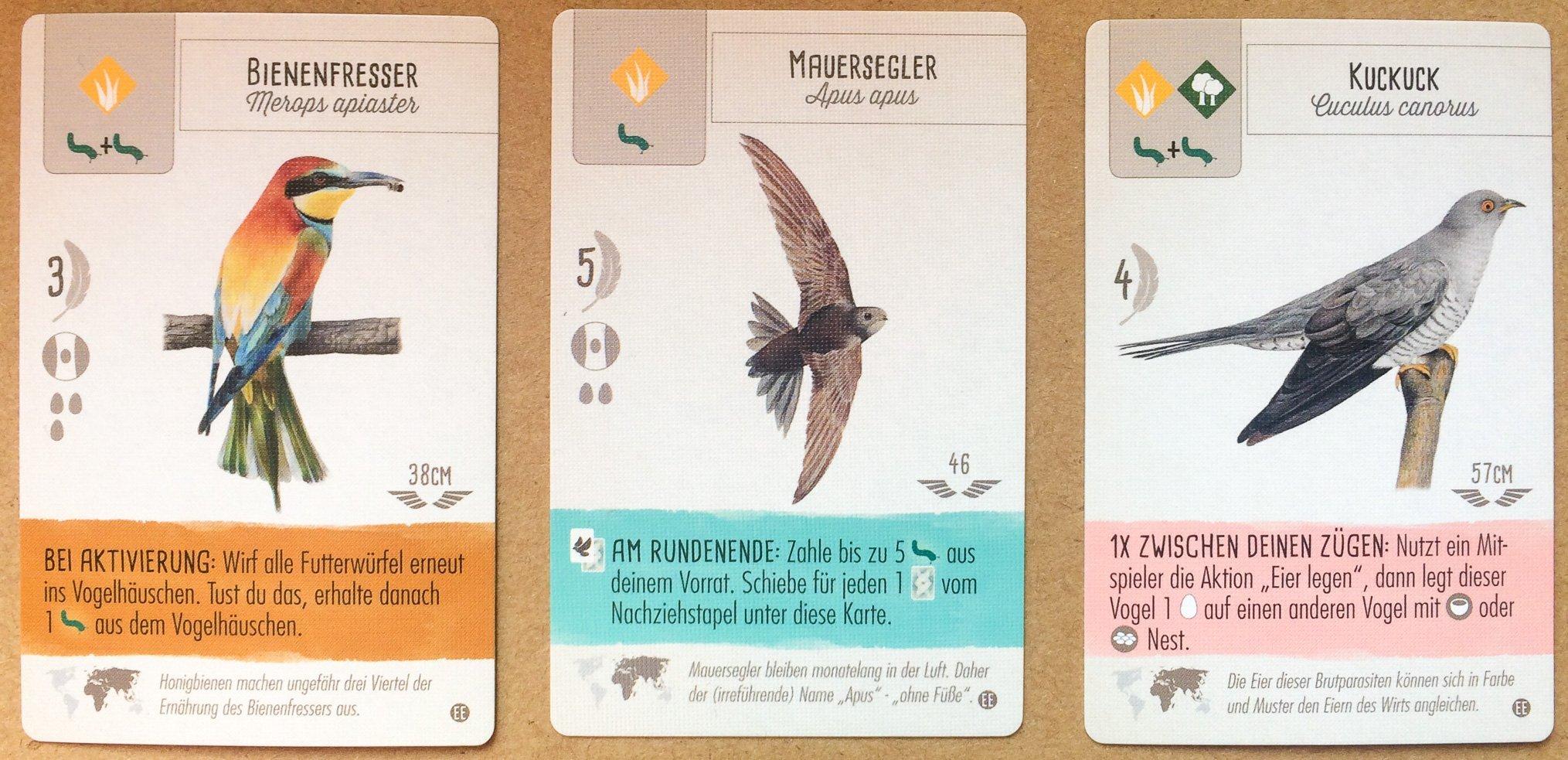 Drei Karten aus dem Spiel Flügelschlag: Bienenfresser, Mauersegler, Kuckuck