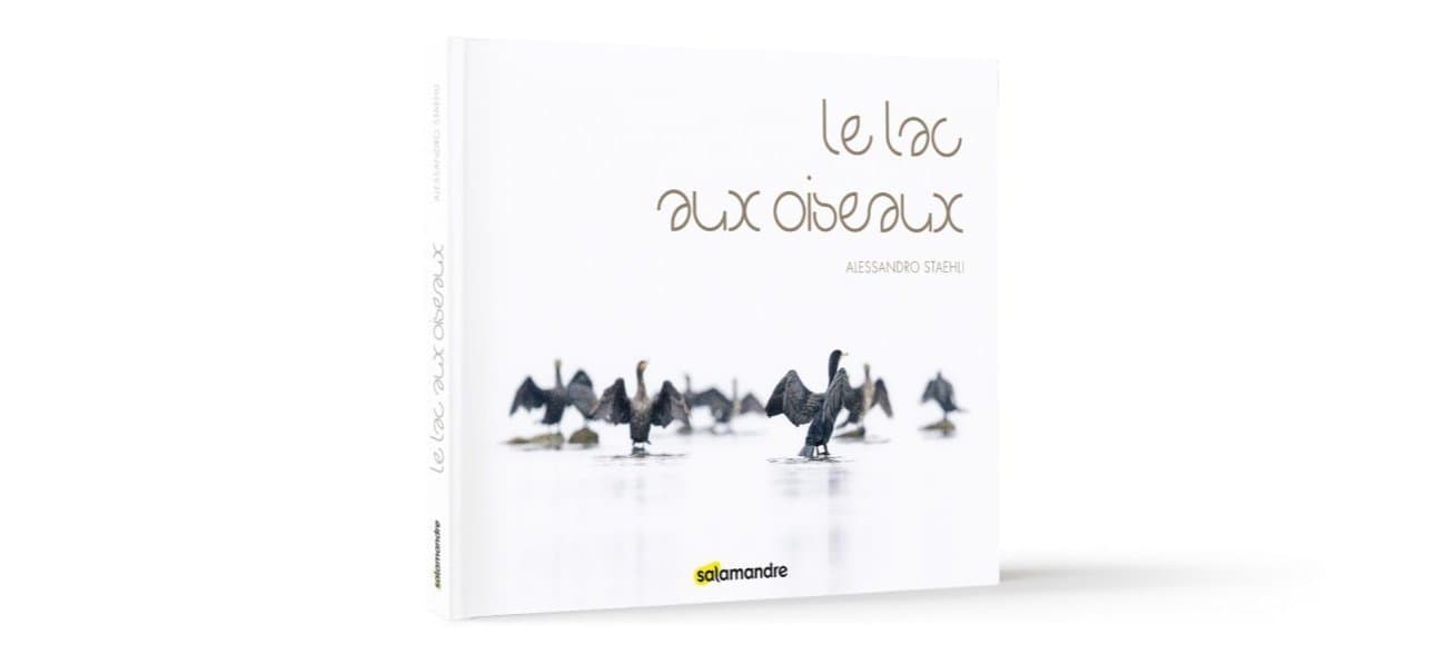 Buchcover: Le lac aux oiseaux.