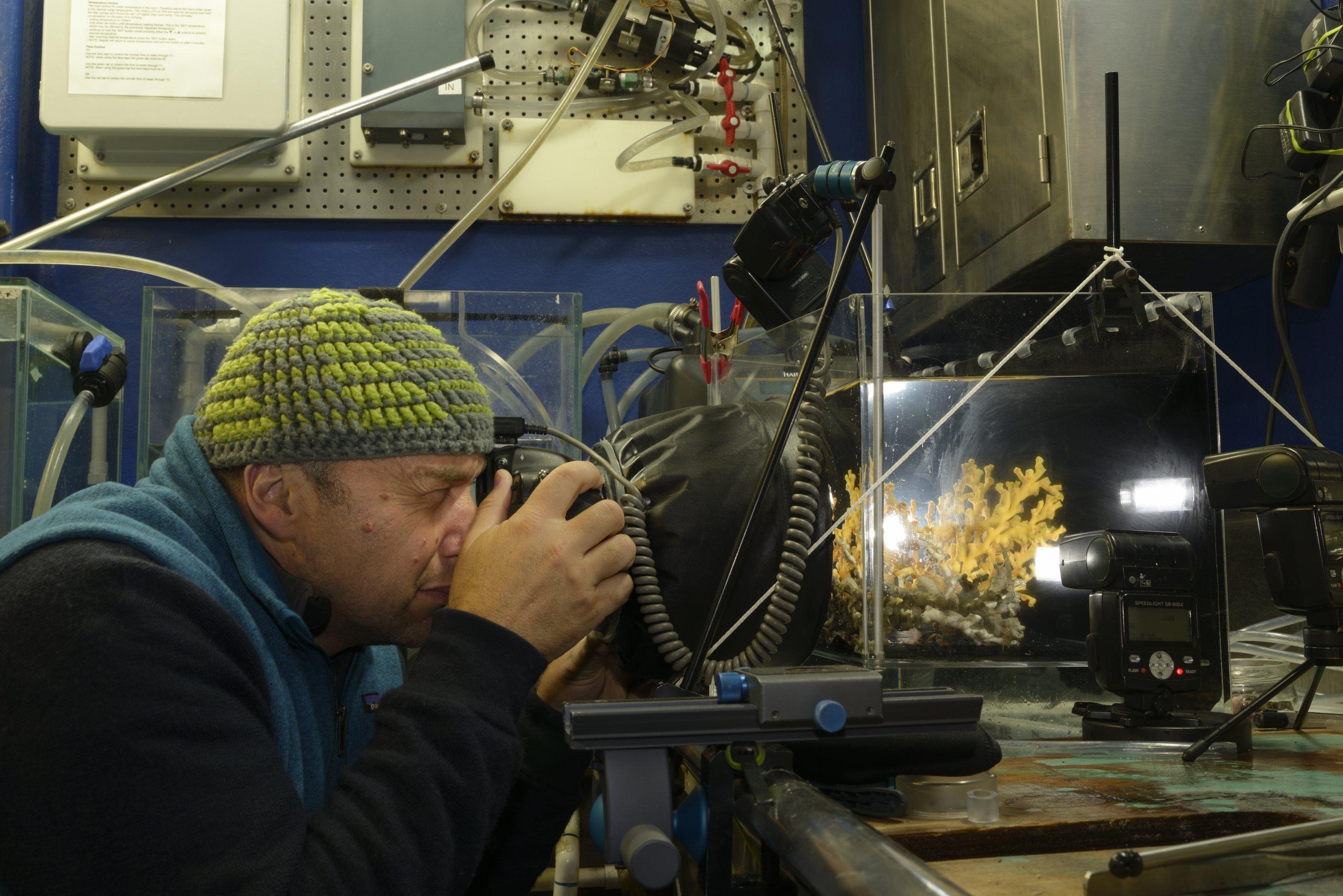 Fotograf Solvin Zankl mit Mütze und dicker Jacke in einem Kühlraum auf einem Forschungsschiff. Vor ihm ein Becken mit Unterwasserlebewesen, die er fotografiert.