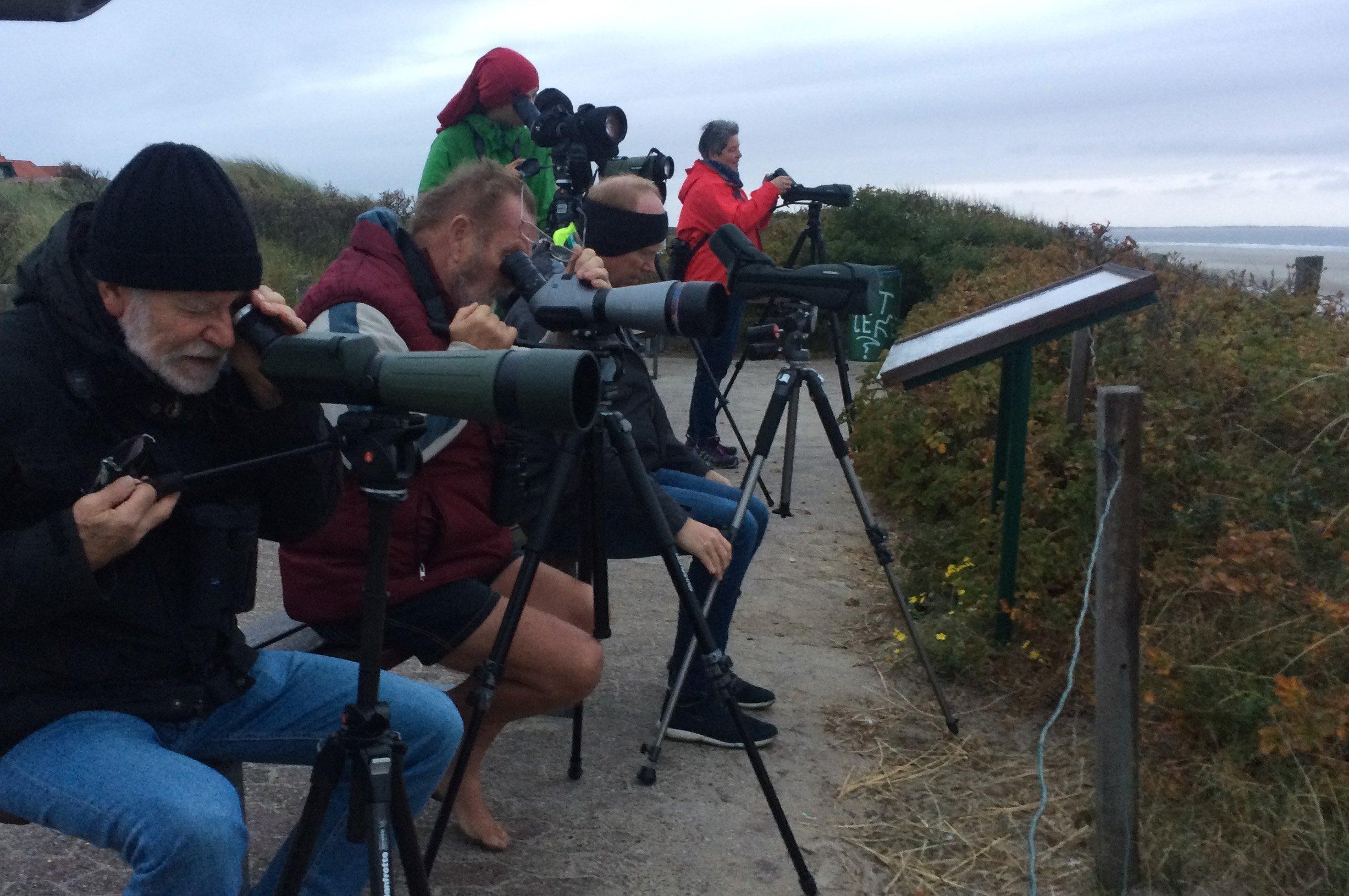 Vogelbegeisterte haben ihre Spektive aufs Meer vor Spiekeroog gerichtet, um den Vogelzug über der offenen See zu beobachten.