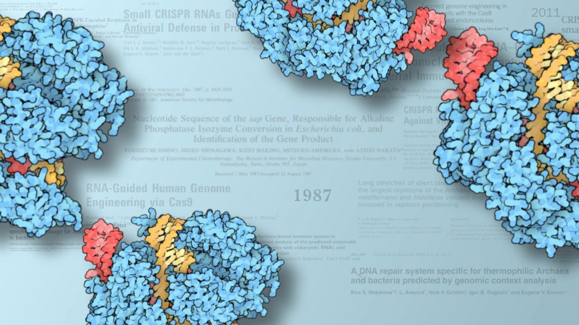 Vier symmetrische angeordnete Grafiken des Cas9-Proteins schweben vor blauem Hintergrund und den Titeln und Jahreszahlen wichtiger Fachartikel des CRISPR-Historie. Im Zentrum das Jahr 1987.