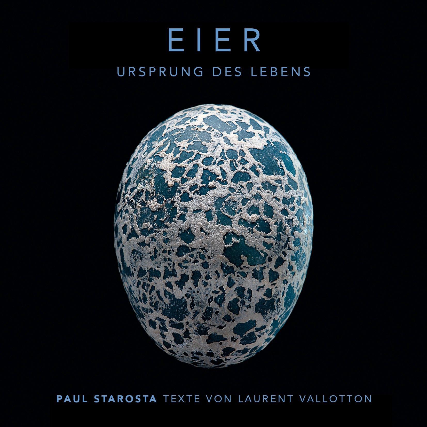 Das Ei des Guirakuckucks ist von einer weissen kreidigen Schicht überzogen. Während des Brütens verschwindet diese mit der Zeit, sodass die blaue Farbe der Eierschale zum Vorschein kommt.