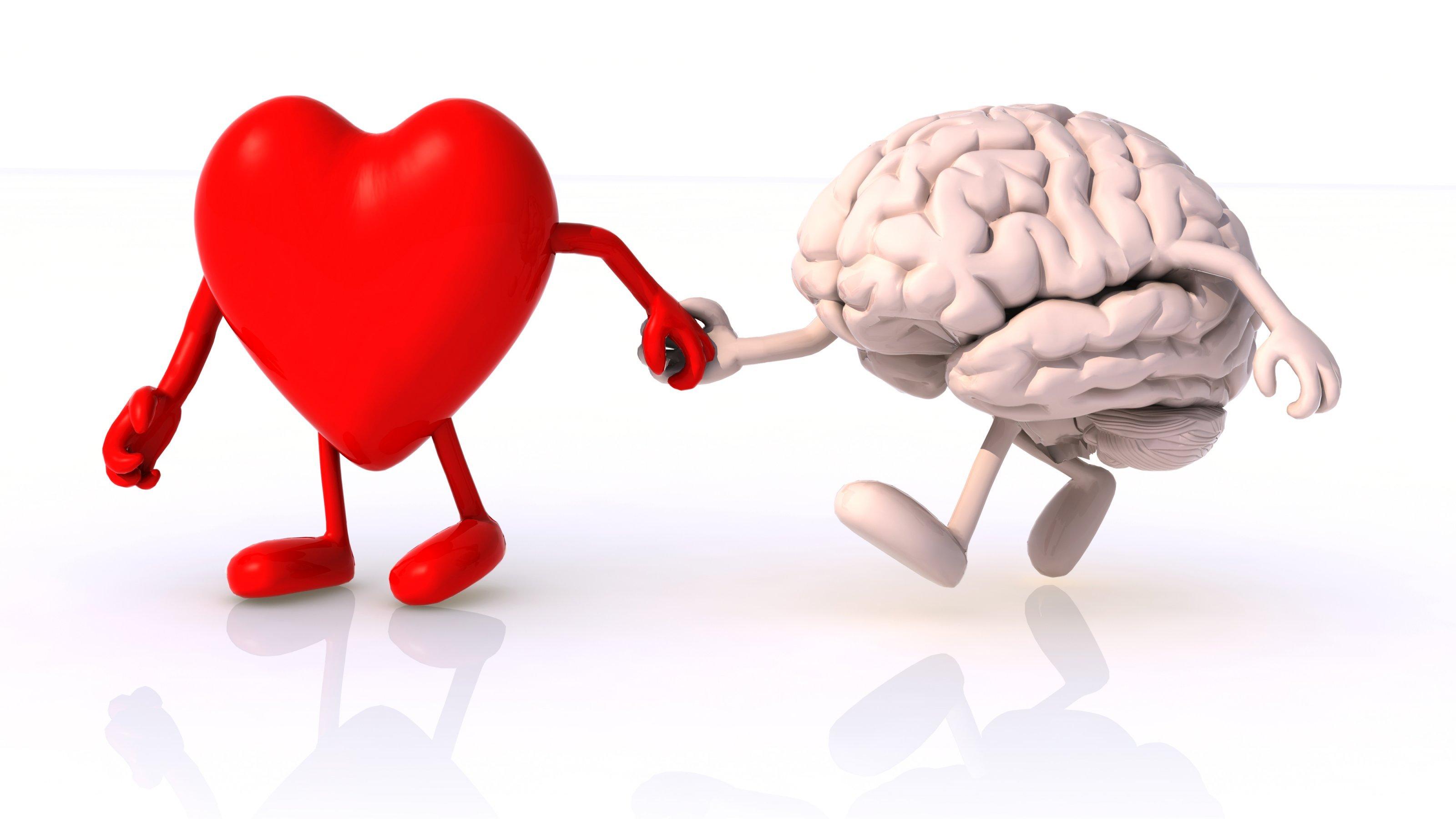 eine Illustration von Herz und Gehirn, die miteinander Hand in Hand gehen