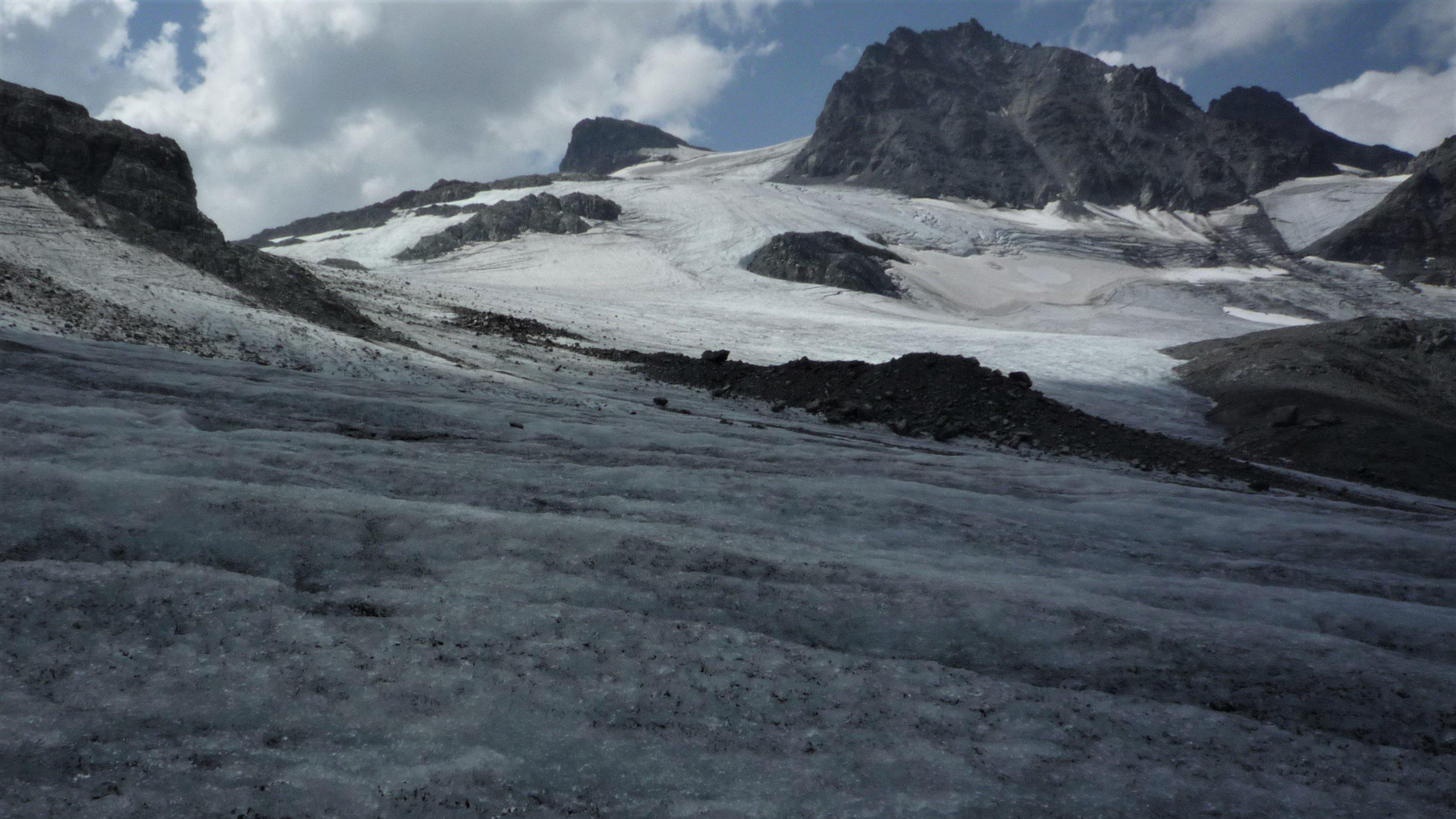 Das krümelige Schwarze auf dem Eis besteht nicht nur aus Staub und Felsabrieb, sondern auch aus stoffwechselaktiven Mikroorganismen.