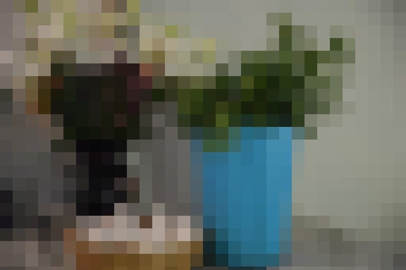 Rohe Eier und Kräuter spielen eine wichtige Rolle in der Diagnostik der indigenen Heilerinnen. Hier sind sie schön arrangiert im Gesundheitszentrum von Capulalpam in Mexiko.