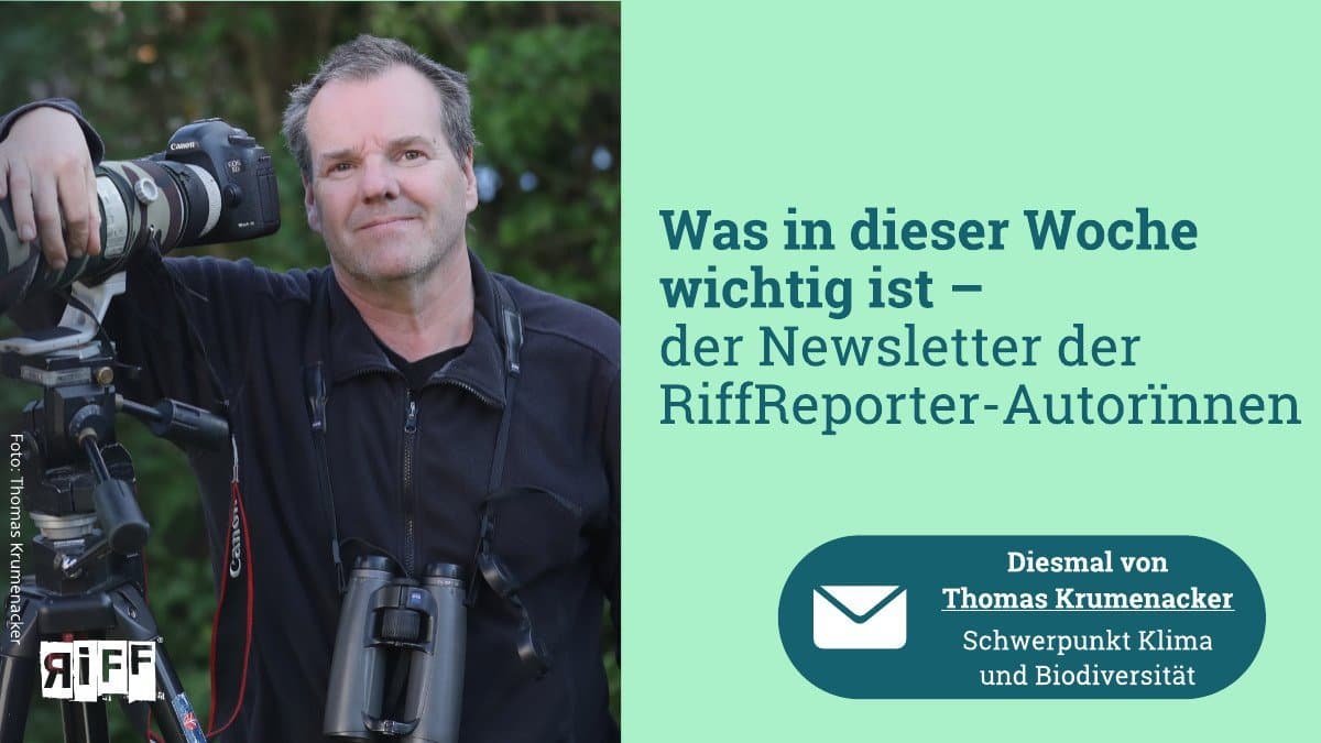 Was in dieser Woche wichtig ist – der Newsletter der RiffReporter-Autorïnnen. Diesmal von Thomas Krumenacker, Schwerpunkt Klima und Biodiversität