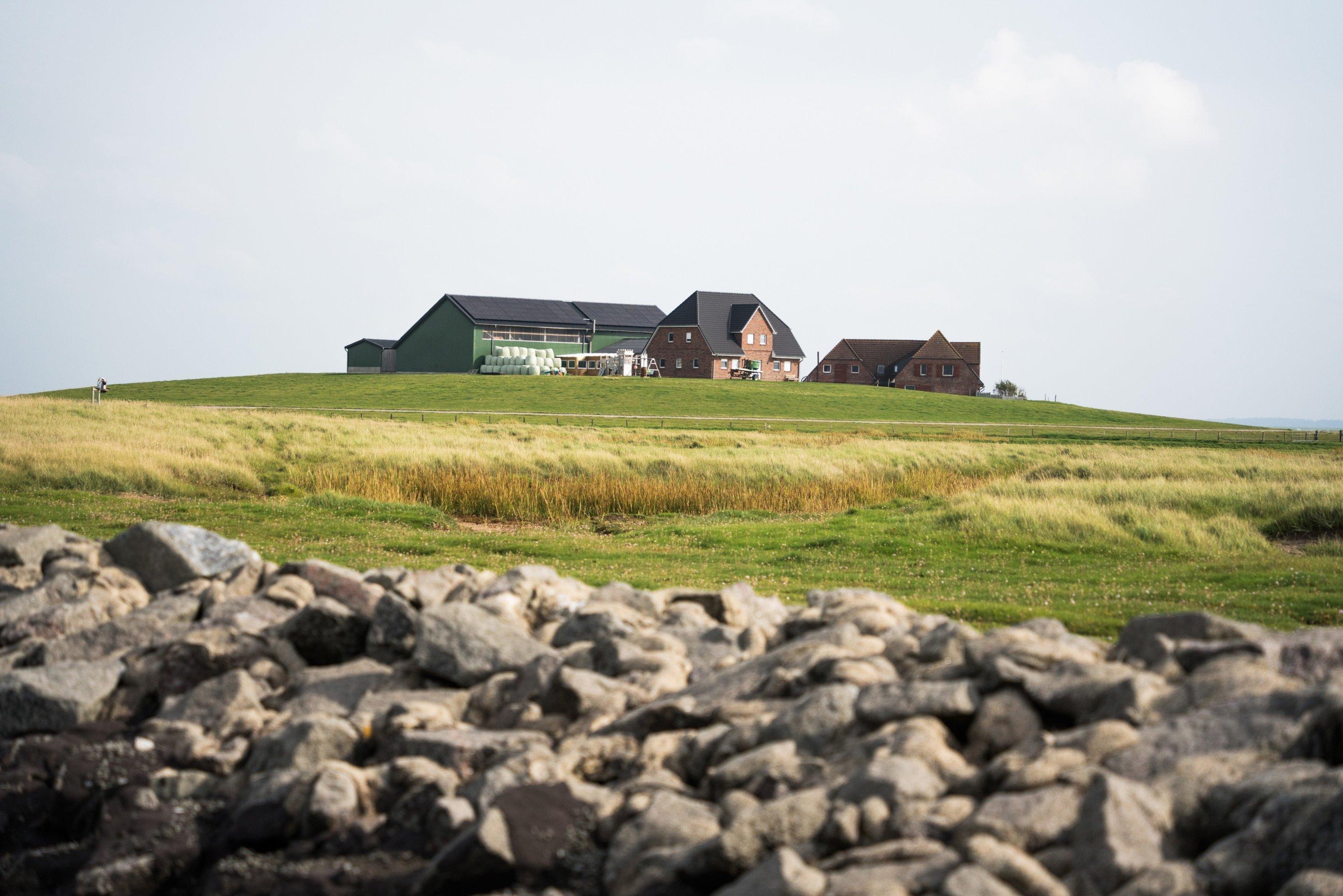 Warft mit zwei Häusern und einem Schuppen