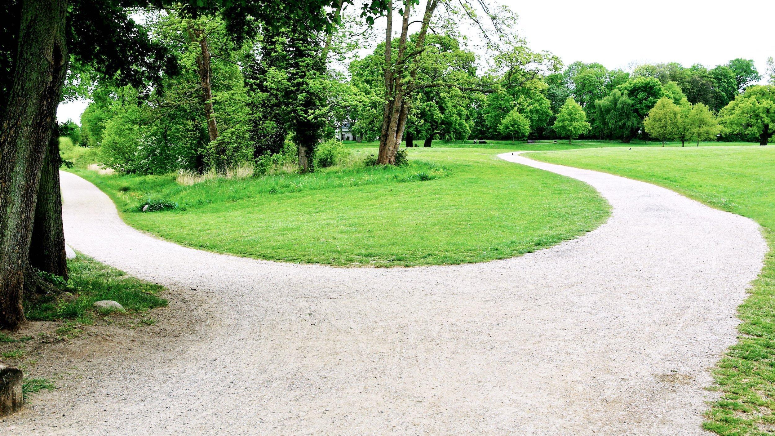 Das Bild zeigt eine Weggabelung in einen Park. Der Pfad nach rechts führt in sanften Rundungen einen kleinen Hügel hinauf, der Pfad links biegt um einen Baum leicht nach unten und führt dann gerade und eben weiter, bis er außerdem Sicht gerät.