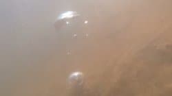 Silbern schimmernde Gasblasen  unter Wasser vor dem Hintergrund eines rötlich-braunes Sediments in einem Bach.