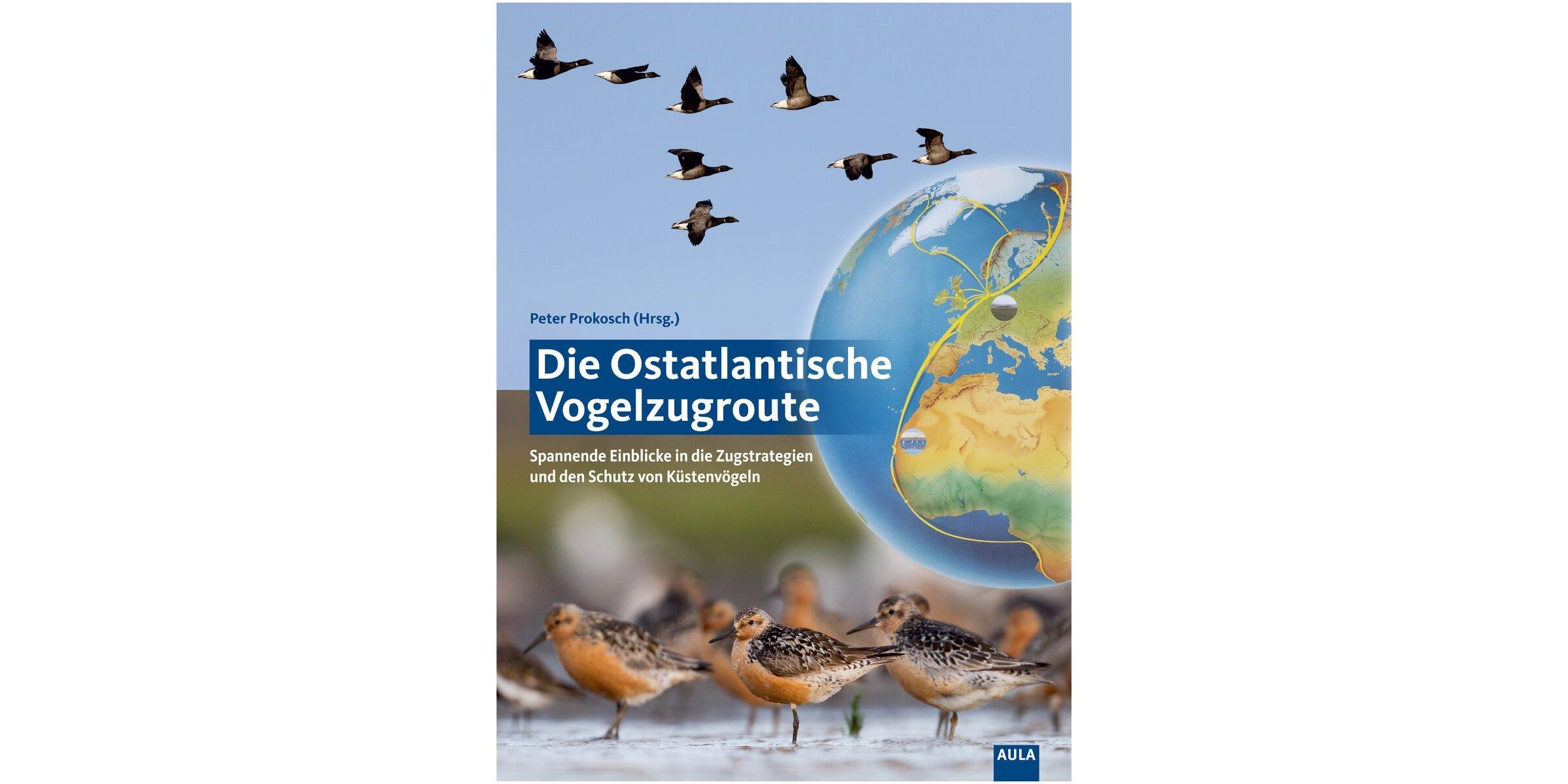 Das Cover des Buchs "Ostatlantische Vogelzugroute" ist zusammengesetzt aus einem Globus mit Zugrouten und zwei Vogelfotos mit fliegenden Gänsen und Watvögeln.