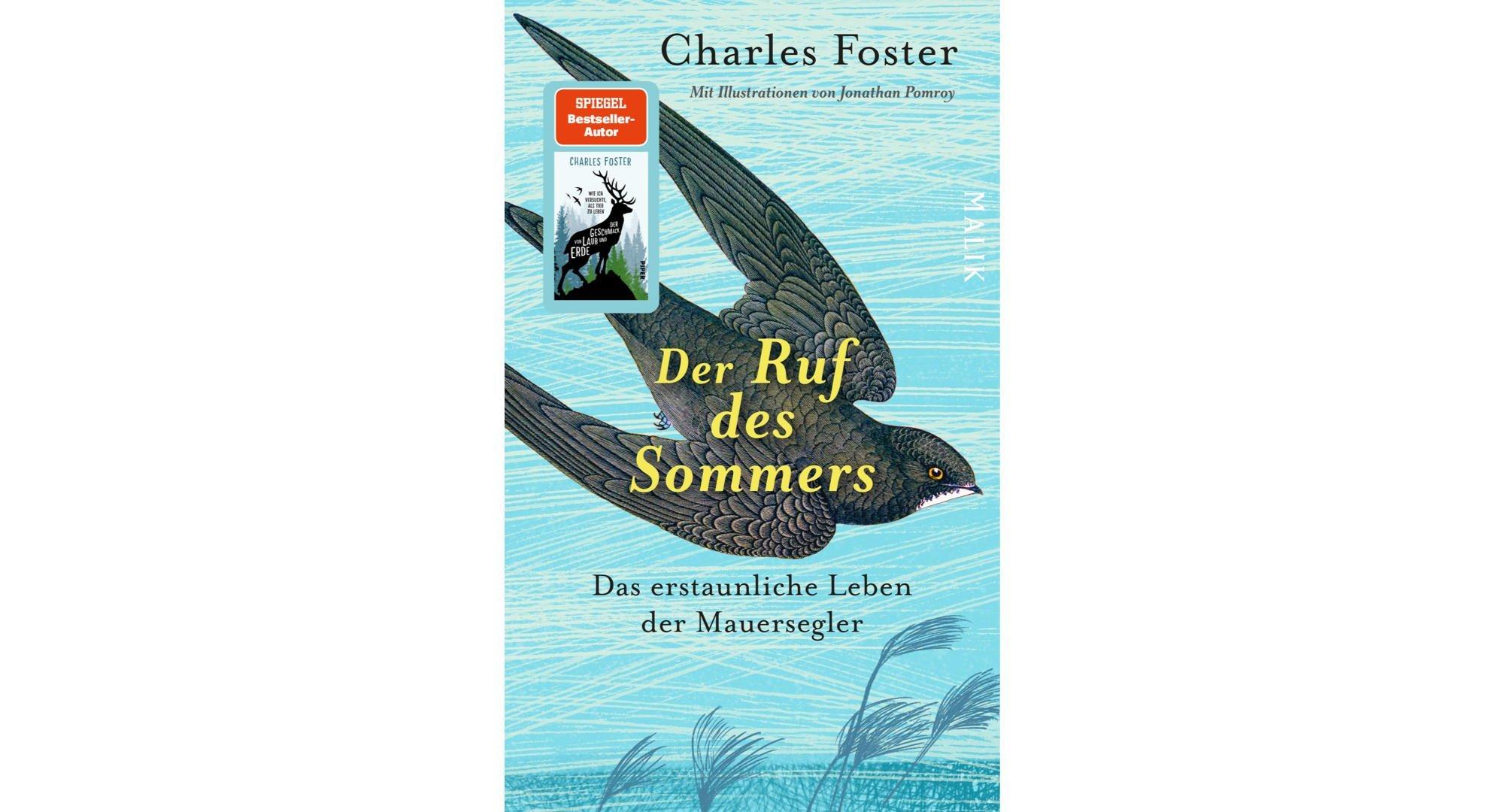 Das Cover des Malik-Buchs "Der Ruf des Sommers" zeigt einen gezeichneten Mauersegler auf türkisem Grund.
