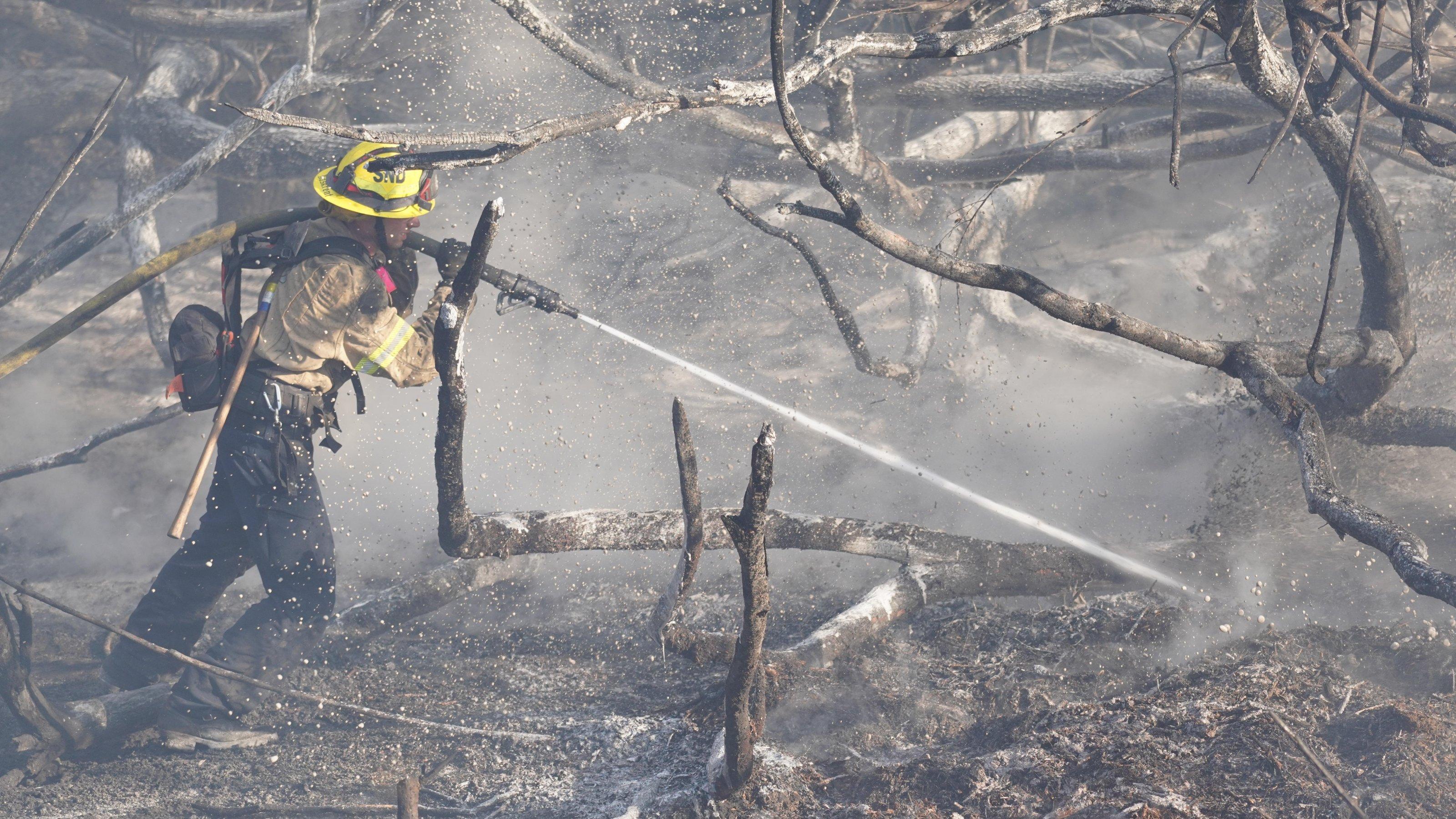 Foto von den Waldbränden in Kalifornien im Januar 2025. Es zeigt einen Feuerwehrmann im Profil der mit einem Schlauch auf einen fast verkohlten Baumstamm zielt. Die Erde ist von graubrauner Asche und Pflanzenresten bedeckt.
