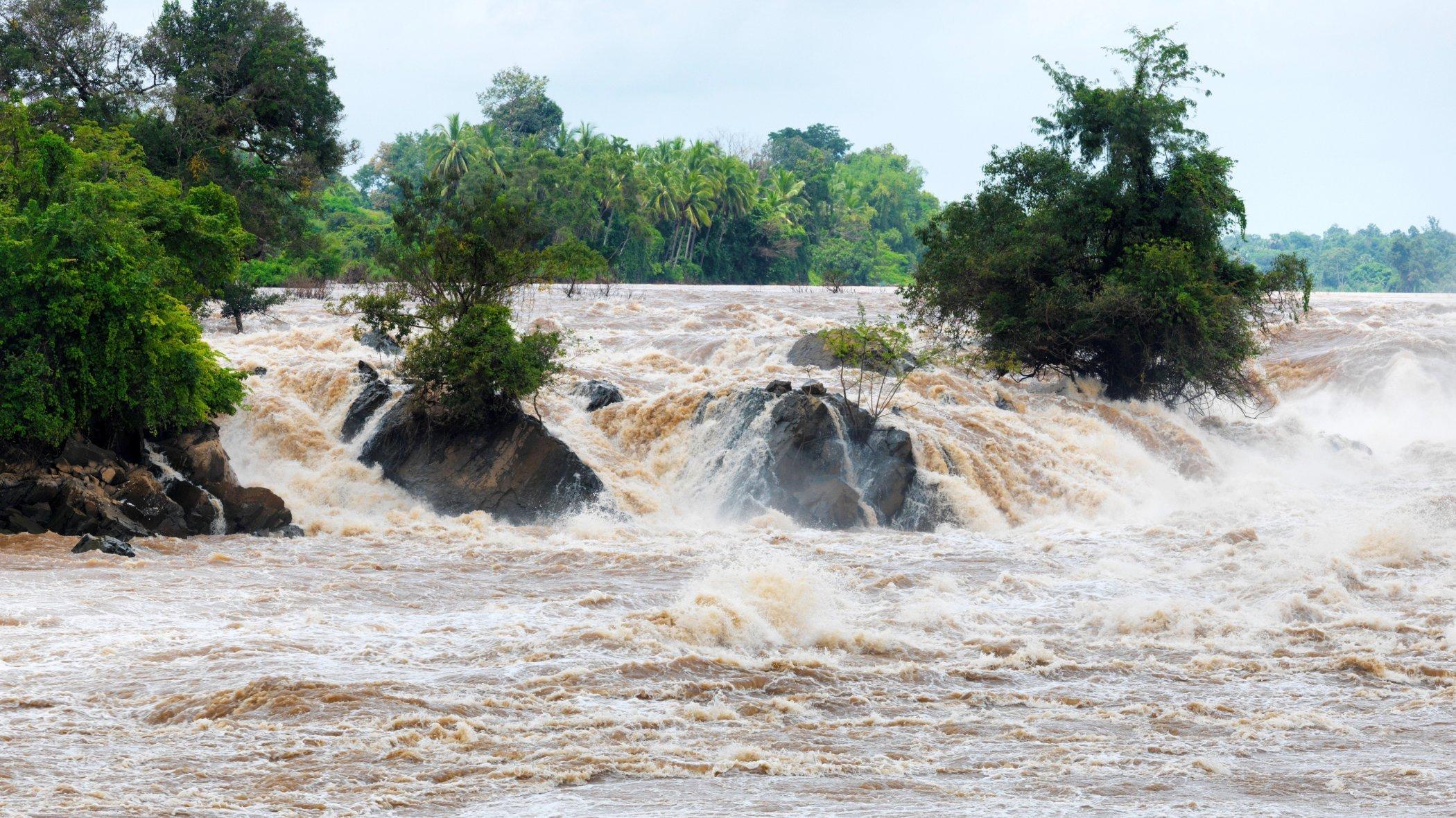 Hochwasser reisst einen Baum um