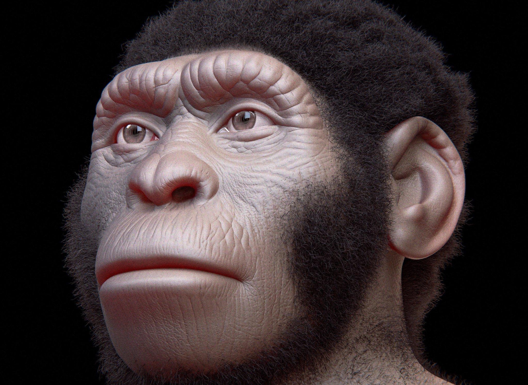 Das Foto zeigt die dreidimensionale Rekonstruktion des Kopfes von Homo naledi vor schwarzem Hintergrund. Die Haut ist braun, die Haare sind schwarz. Die Mundpartie steht vor, die Augenwülste sind kräftig ausgeprägt und die Nase ist flach.