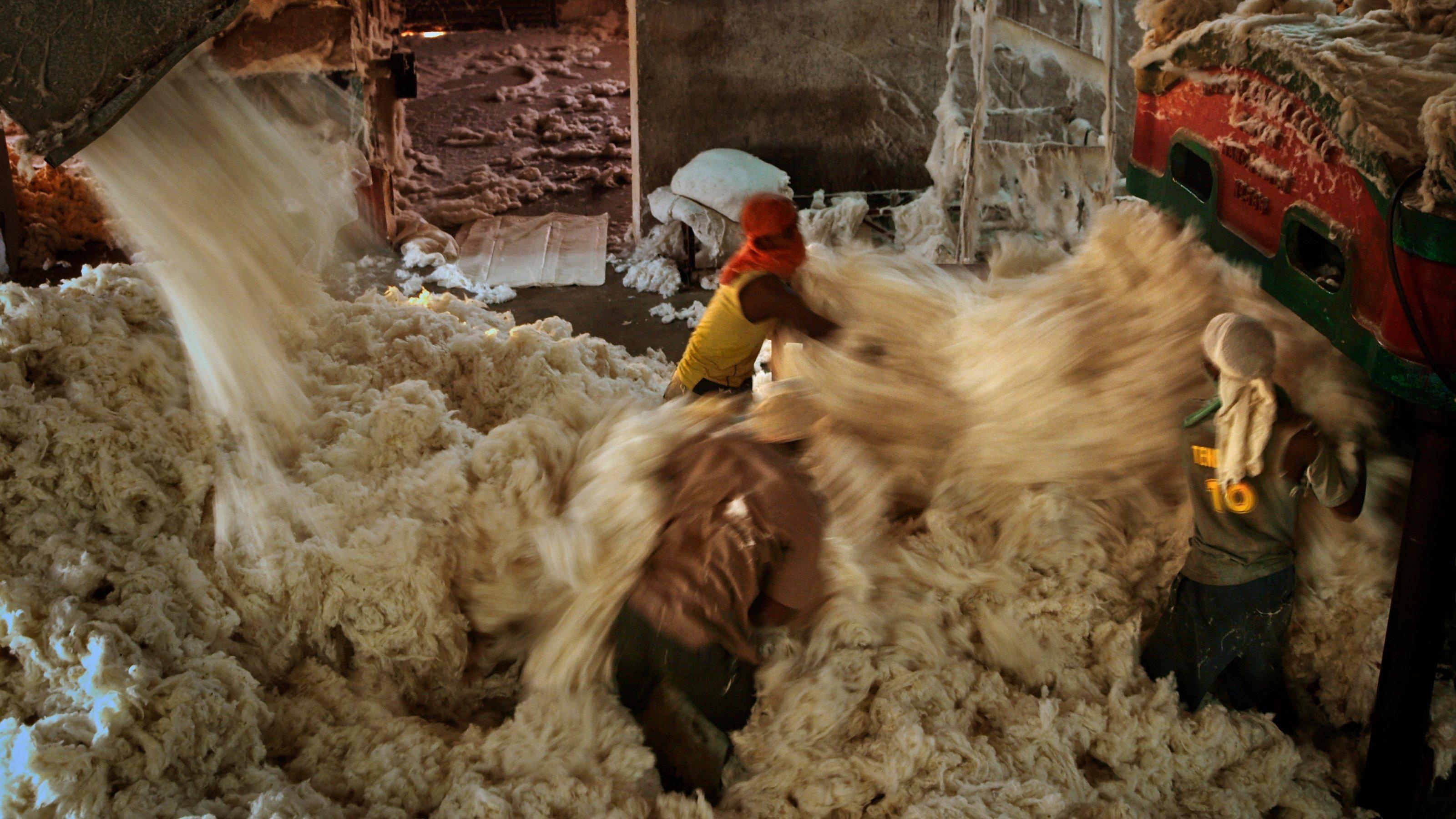 In a Yavatmal ginning workers press cotton into bales of 160 kg.