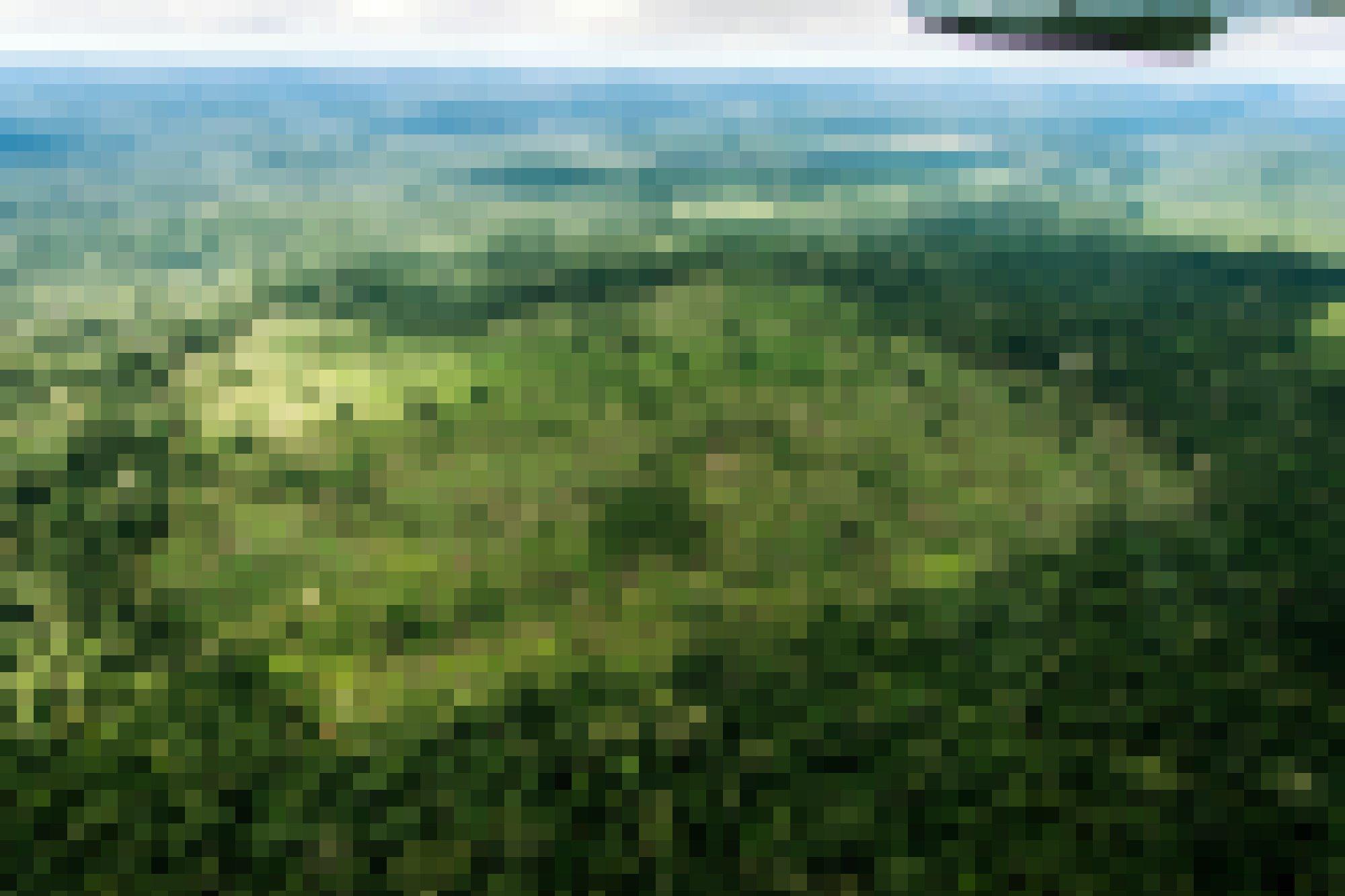 Aus der Perspektive des Überflugs sieht man zwei quadratische Blöcke, die aus dem Urwald gehauen wurden.