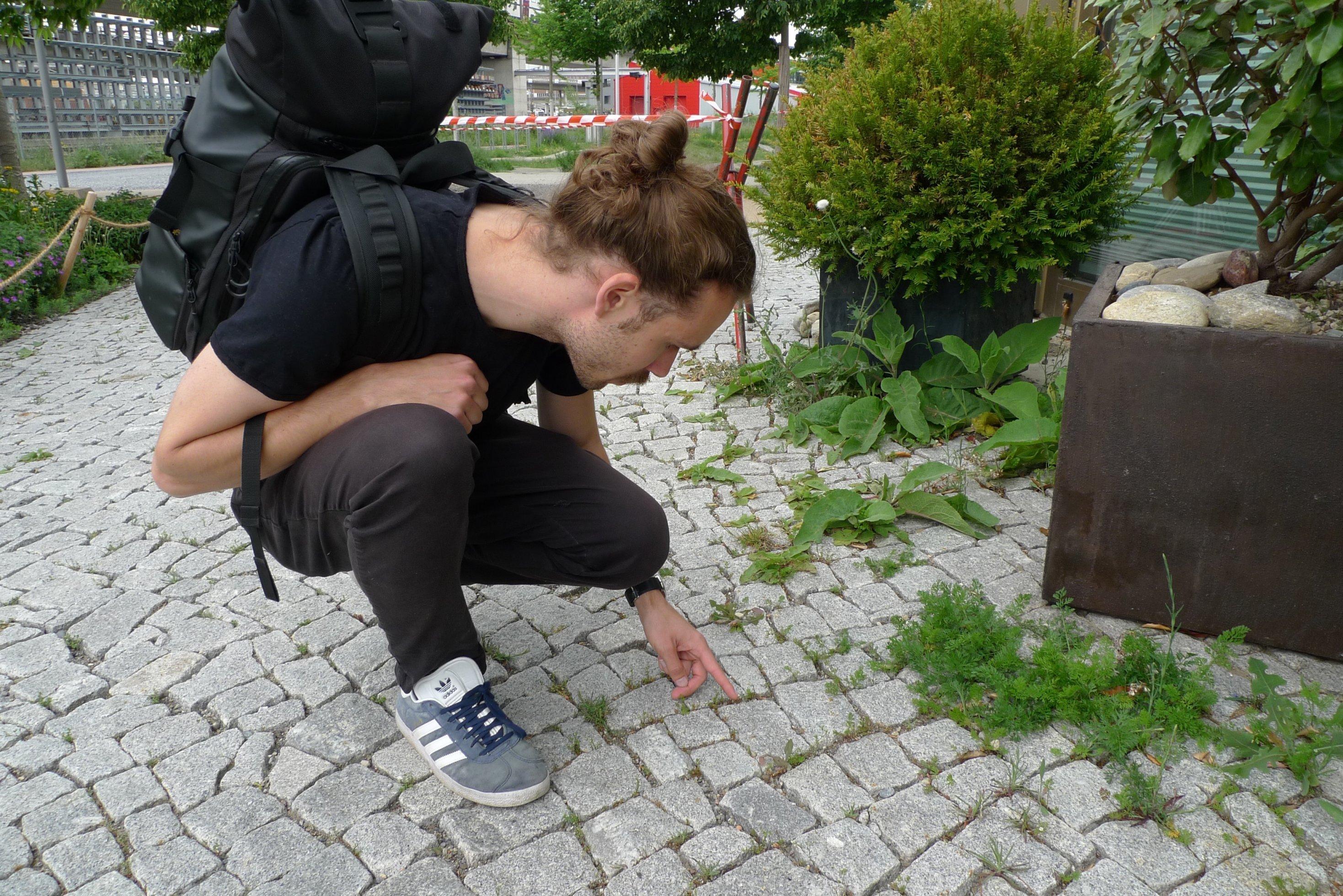 Jonas Frei untersucht die Zwischenräume eines gepflasterten Bodens.