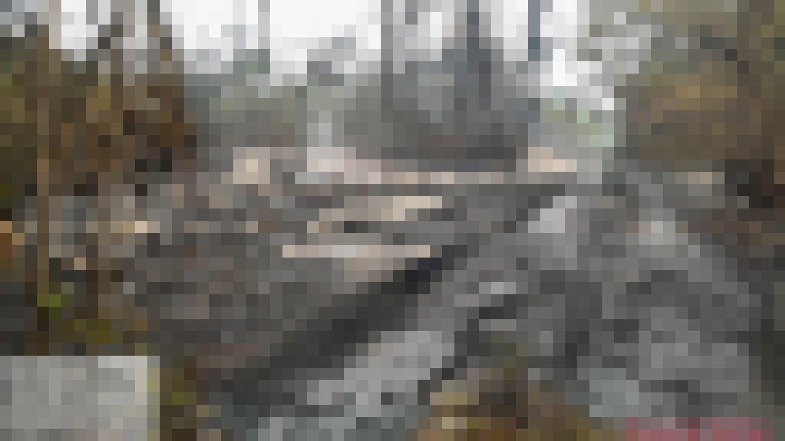 Schneise im Wald, wobei die Bäume großteils keine Blätter mehr haben. Alles ist schwarz und übersät von Erdöl. An einer Stelle ist Rauch zu sehen.
