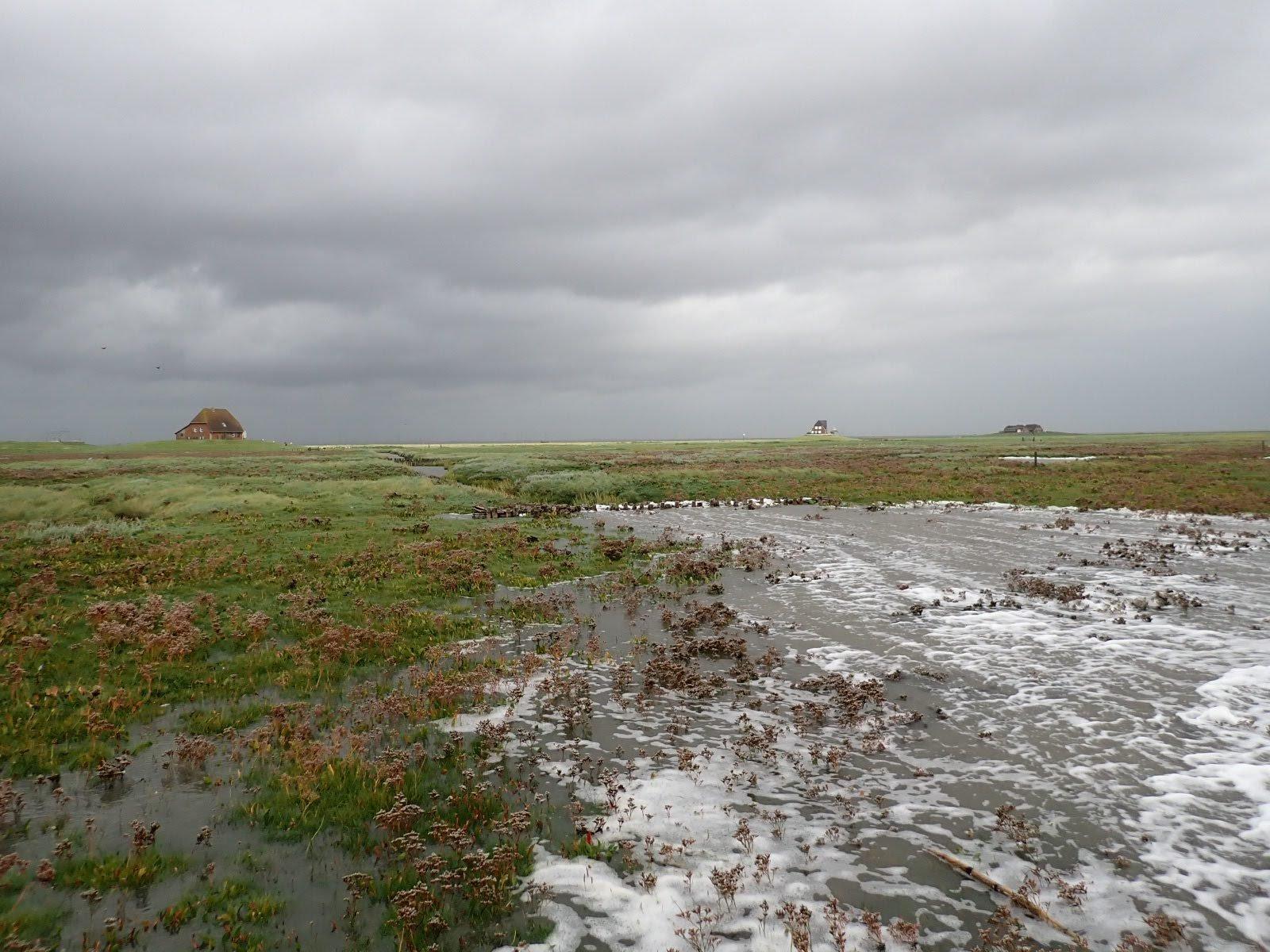 Landunter auf Nordstrandischmoor