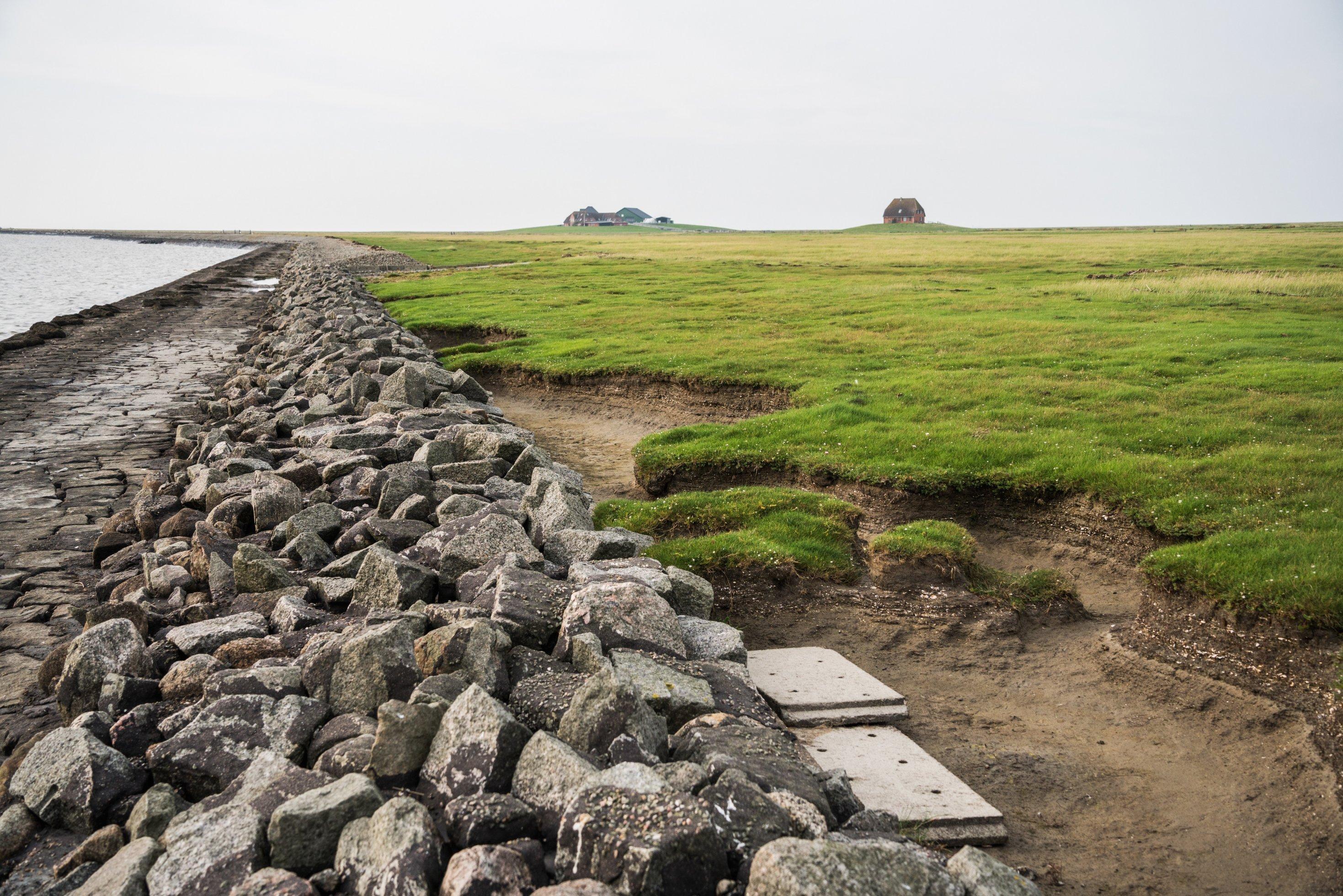 In einer Salzwiese, die hinter einem Steindamm liegt, sind große Löcher und ein paar Platten zu sehen