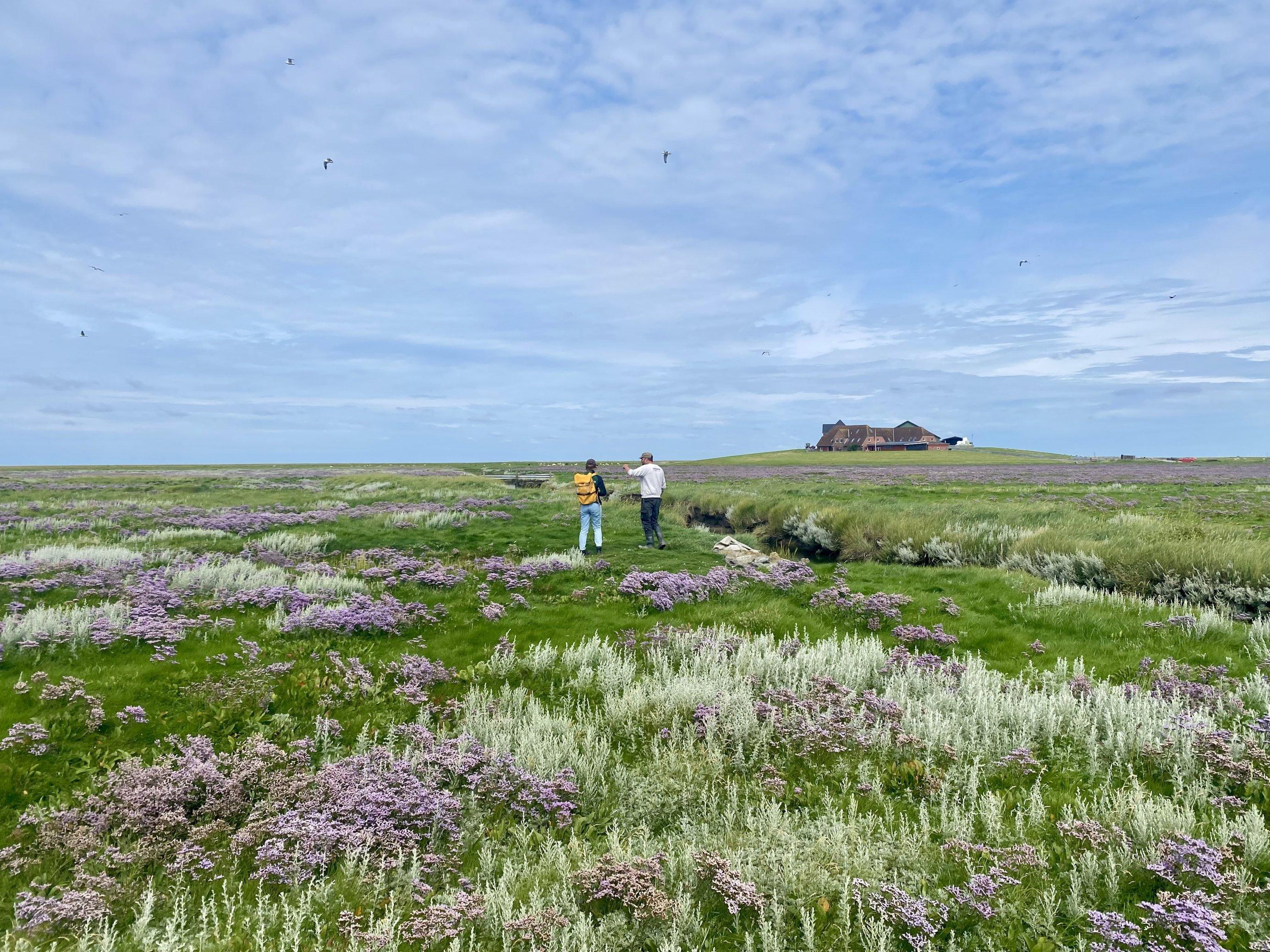 Frau und Mann laufen durch eine Salzwiese
