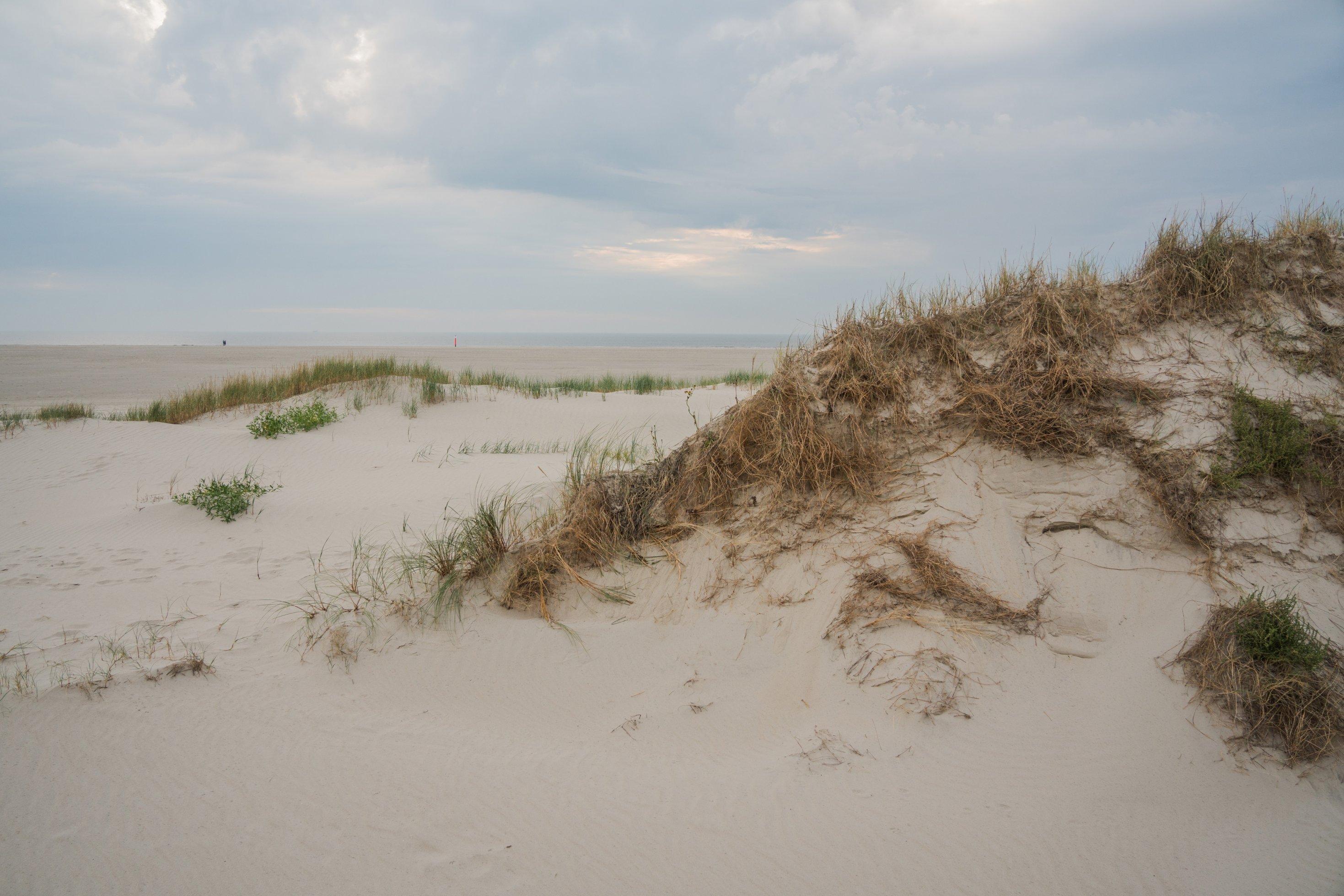 Vom Winde verweht: Sand lässt sich nur schwer festhalten. Und wo er am Ende abbleibt, ist nur schwer vorherzusagen.