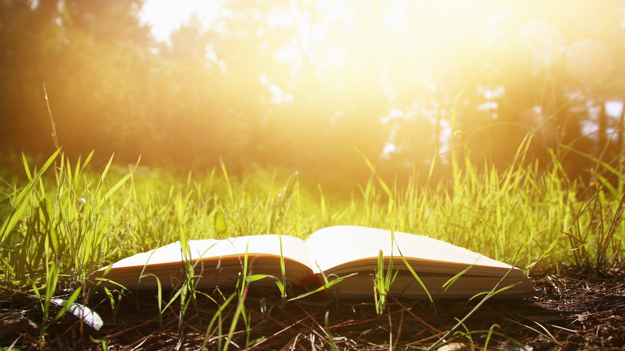 Bücherfrühling