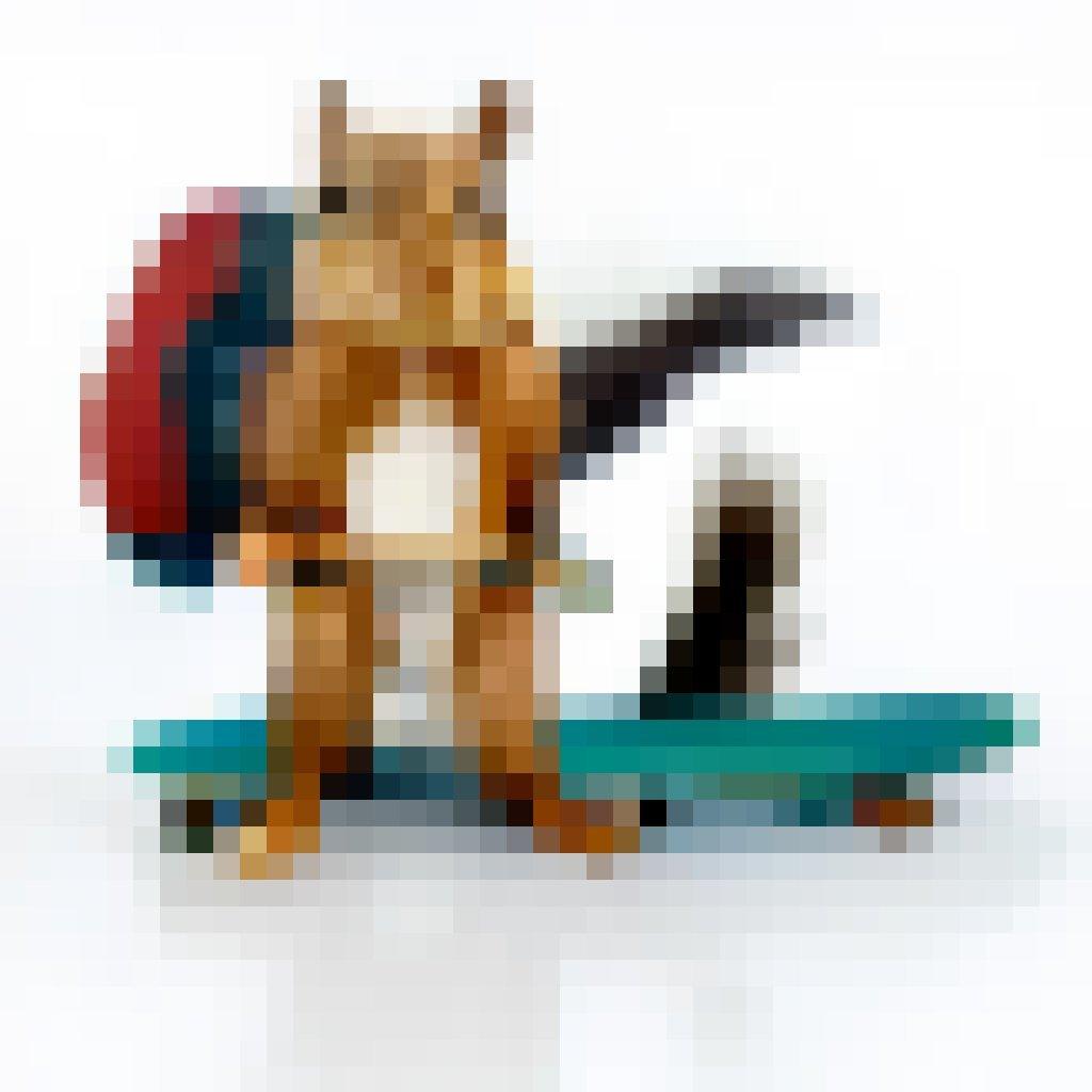 Eichhörnchen, Skateboard,Rucksask