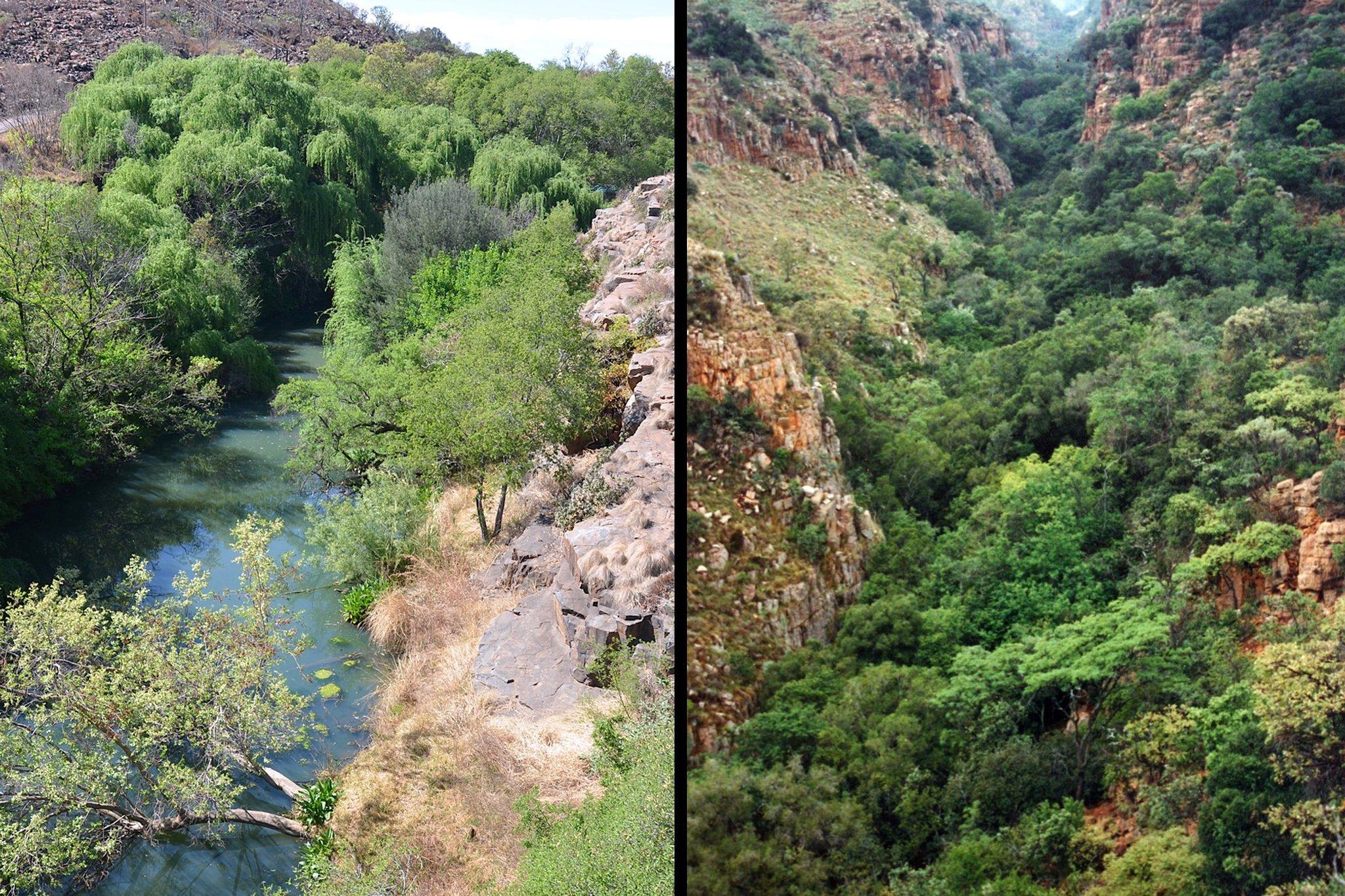 Das linke der beiden Fotos zeigt einen Fluss, der mit kleinen Bäumen bestanden ist, auf beiden Seiten flankiert von Felsen. Rechts ist eine steile, tiefe Schlucht zu sehen, in der sich weiter unten viele Bäume finden.
