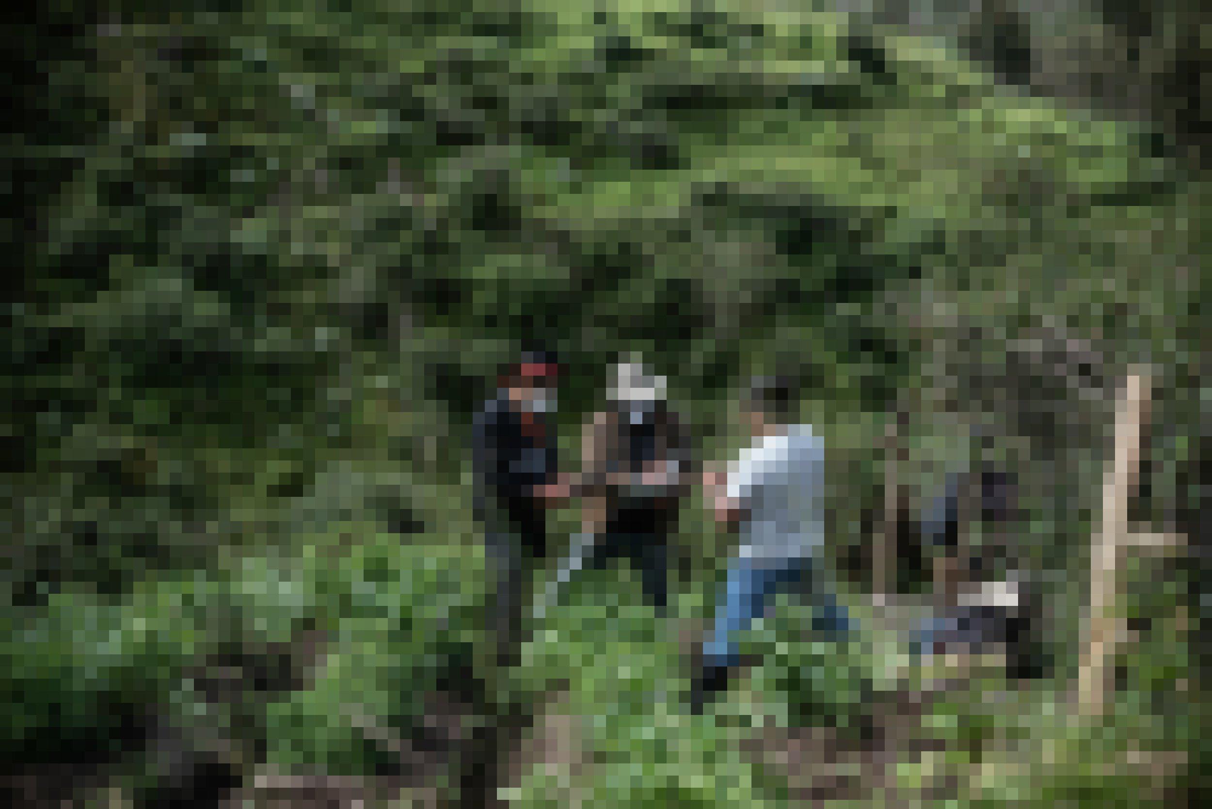 Ein steil abfallendes Feld mit grünen Kartoffelpflanzen. Darauf stehen drei Männer, die gemeinsam in ein Dokument schauen.