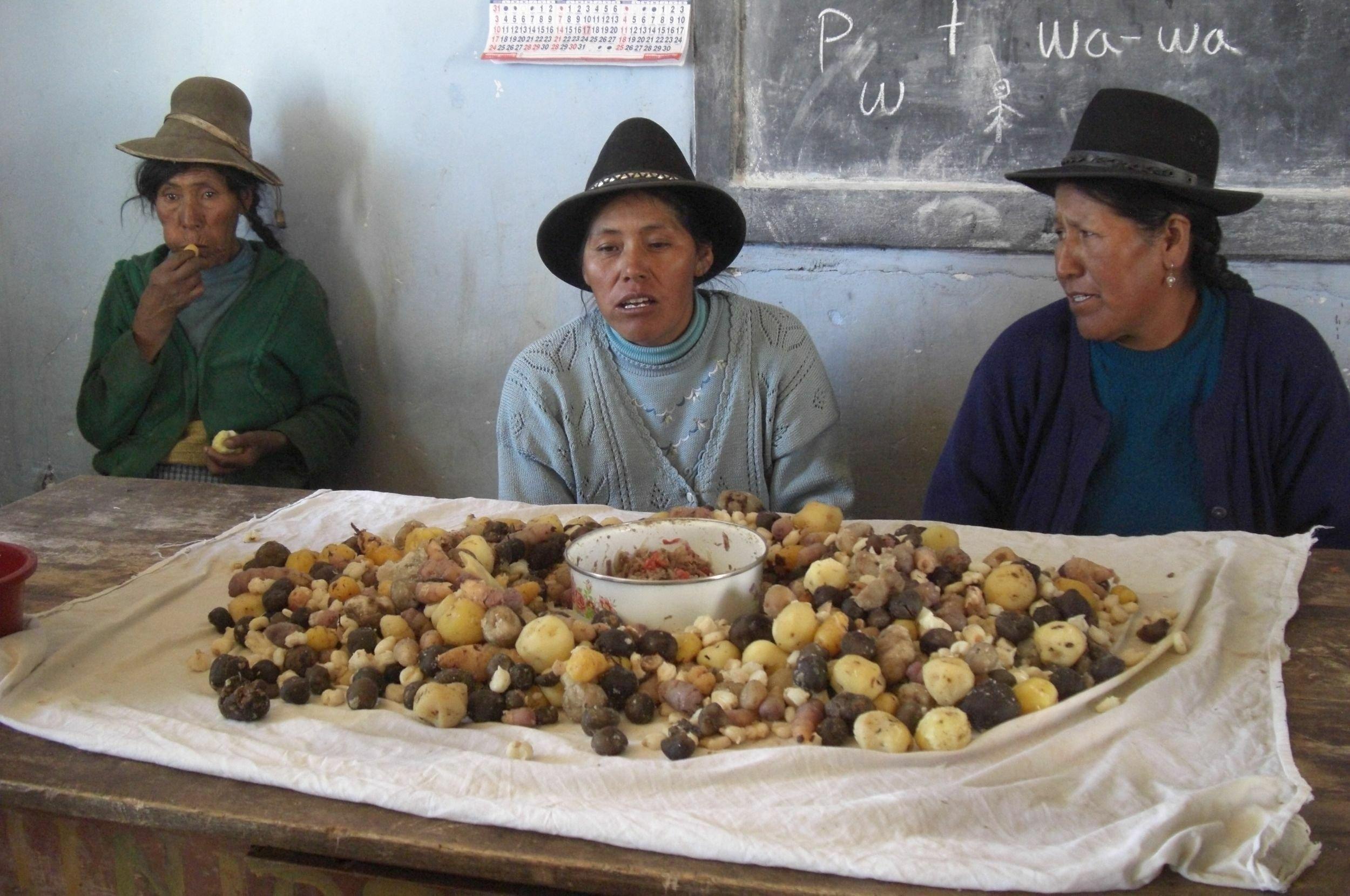 Im Hintergrund drei indigene Frauen mit Hüten, sitzen an einem Tisch. Auf dem Tisch liegt ein großes Tuch, voller geschälter Kartoffeln in allen Formen und Farben. In der Mitte ein Emailletopf mit einer Soße.