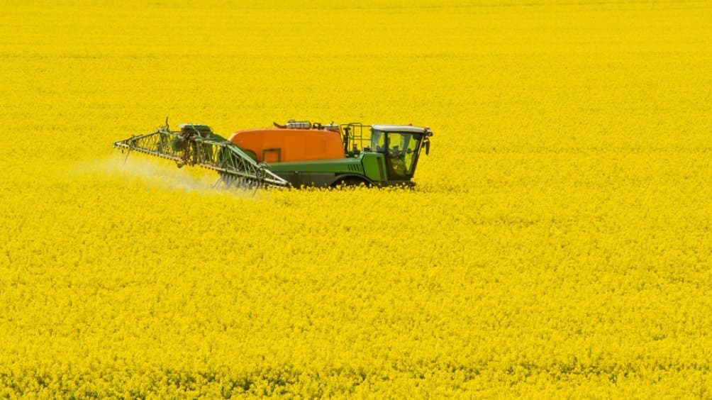 Ein Rapsfeld voller goldgelber Blüten. Ein grüner Traktor mit einem großen orangefarbenen Tank fährt hindurch. Über ein Gestell mit Düsen versprüht ein einen weißlichen Nebel Pestizide.