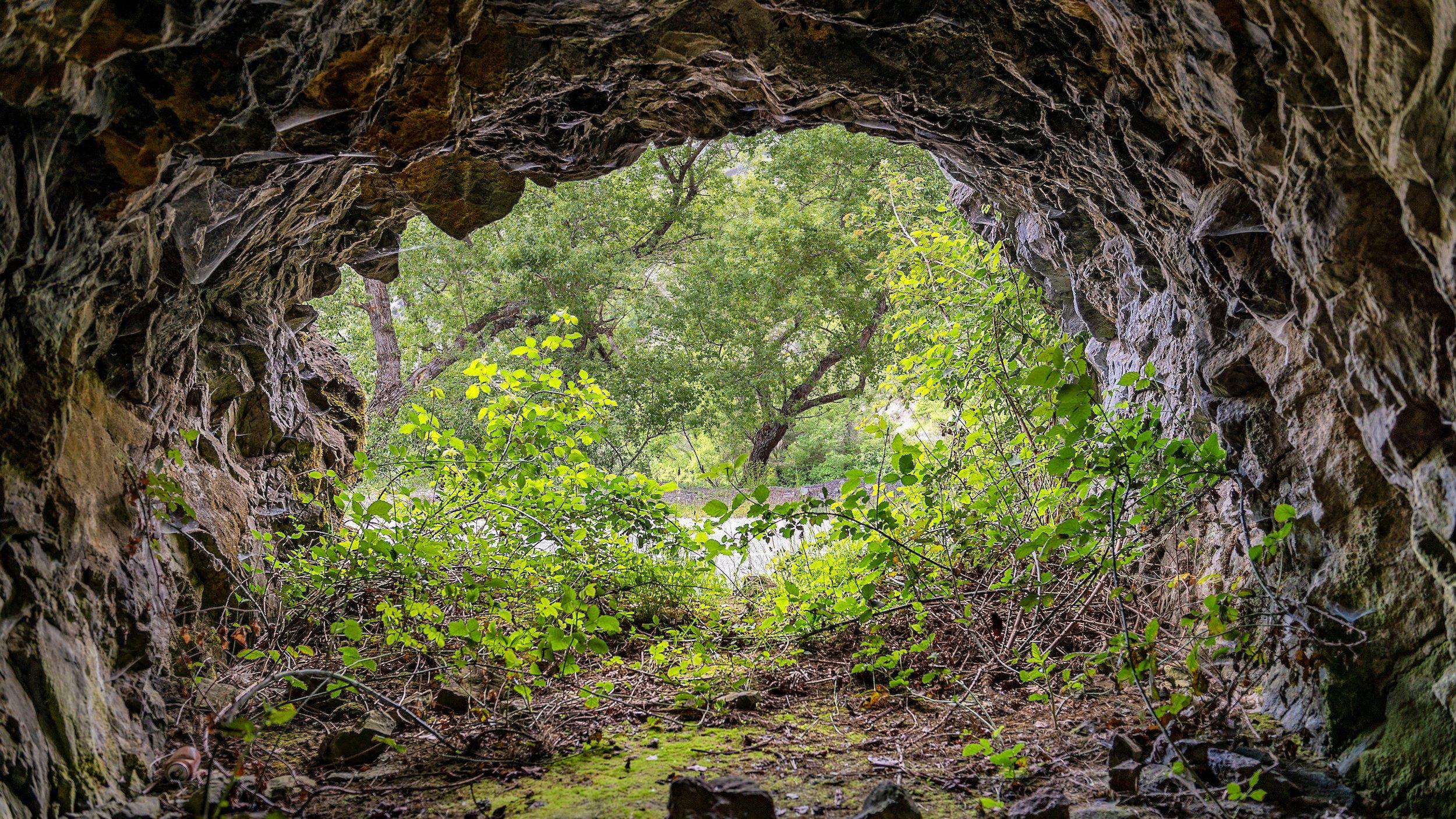 Ausgang einer Höhle, der ins Grüne weist.