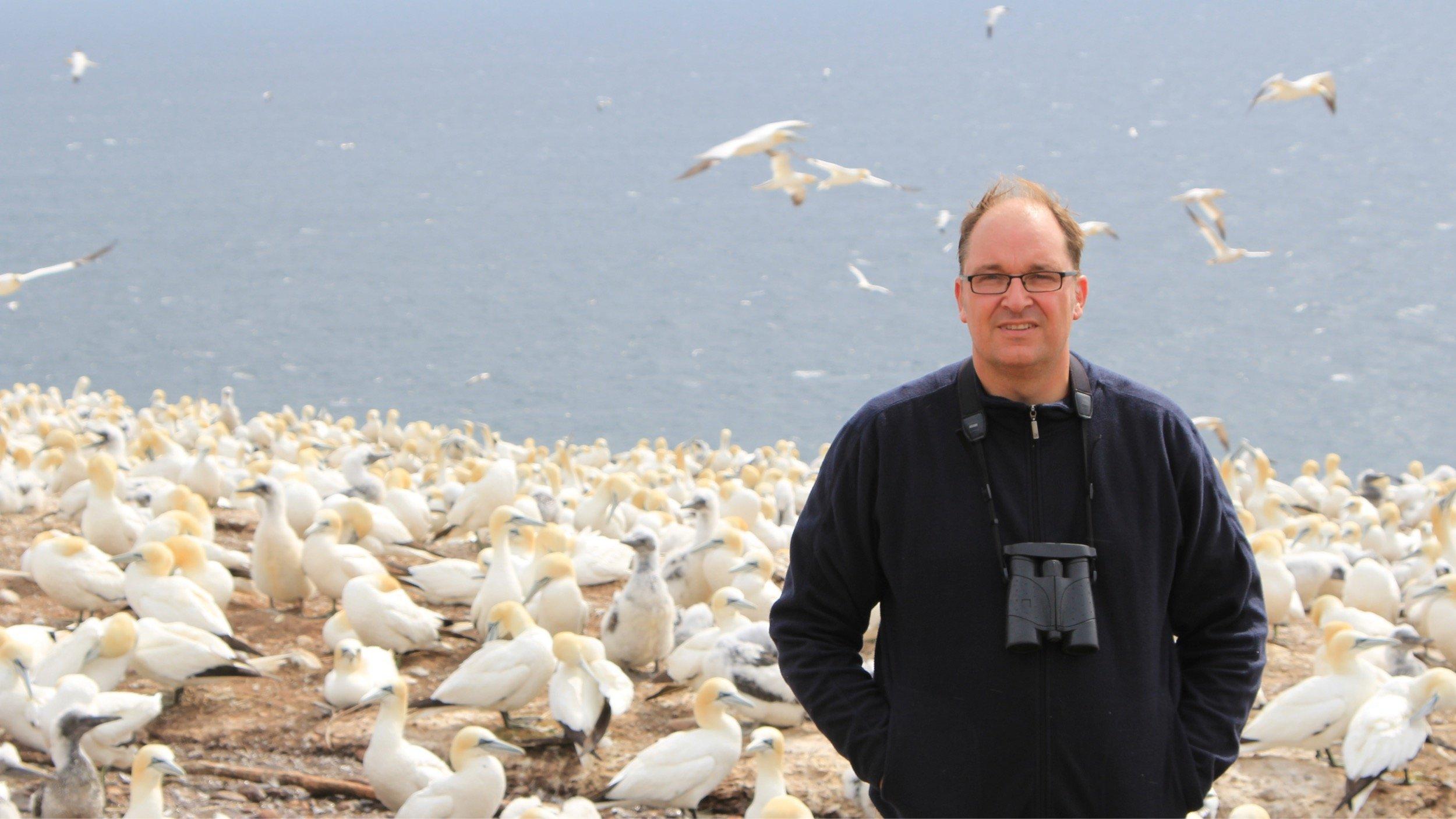 Garthe mit Fernglas in einer Kolonie von Basstölpeln am Meer.