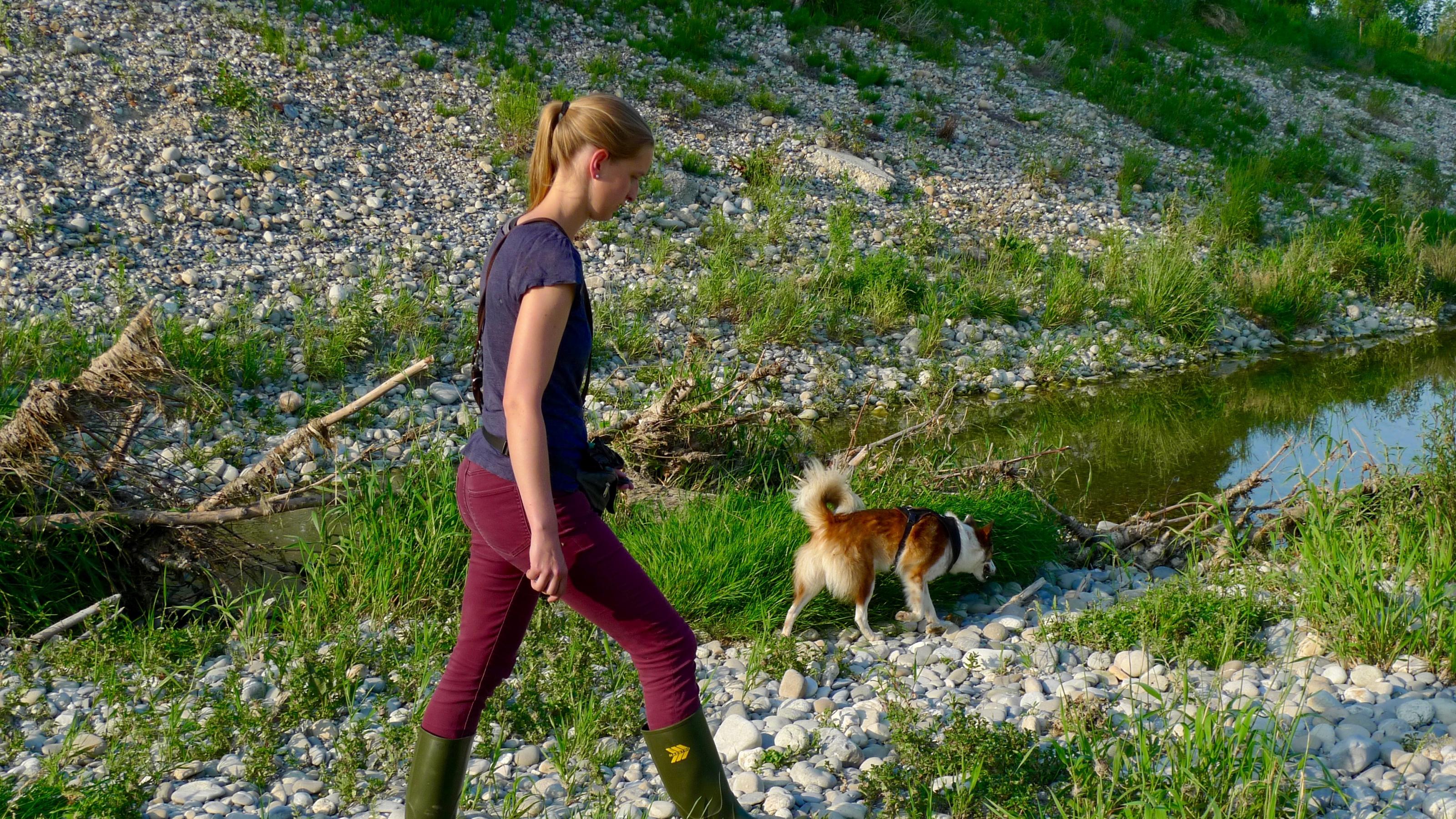 eine Frau, die mit einem Hund spazieren geht [AI]