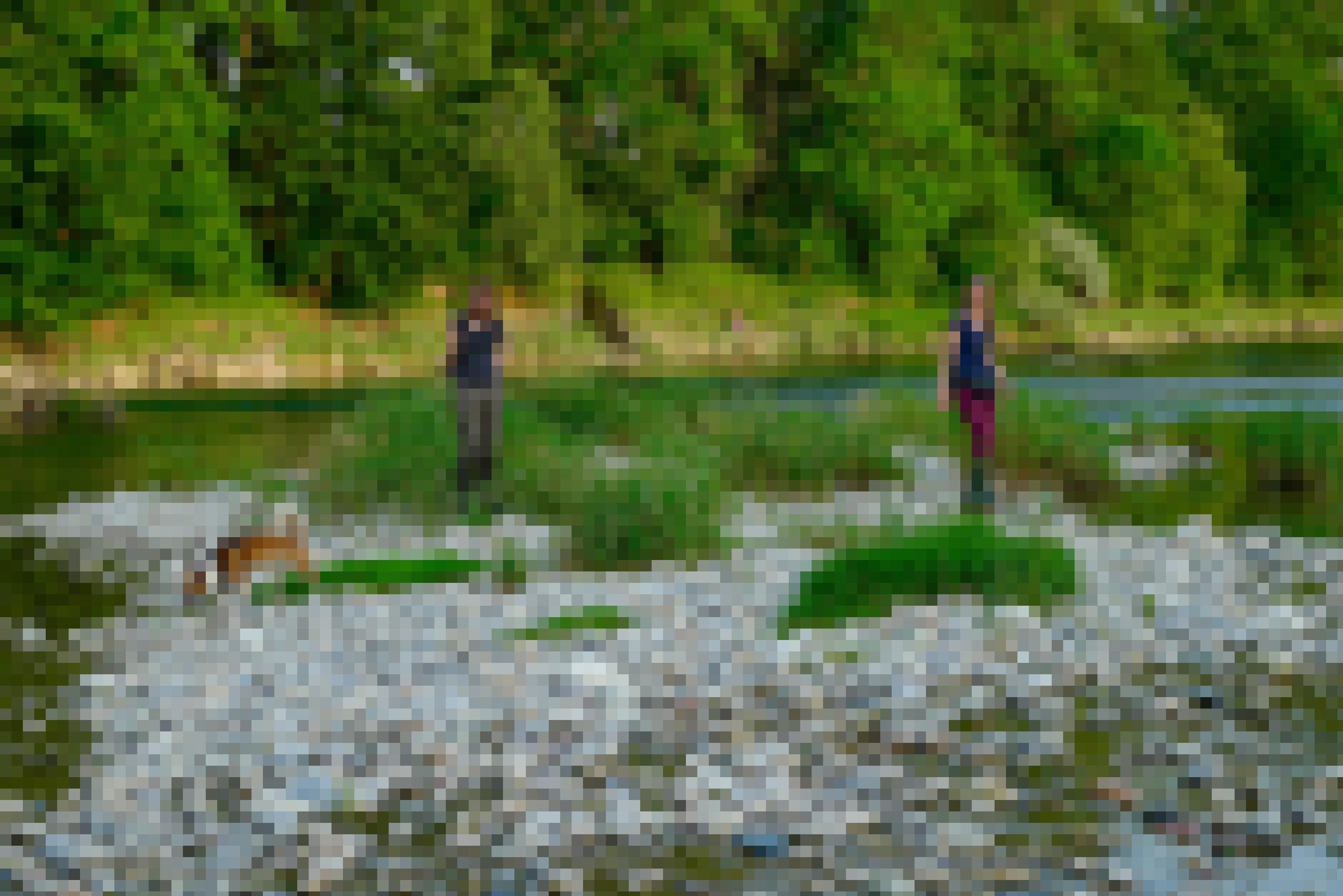 zwei Frauen, die mit einem Hund an einem felsigen Ufer entlang gehen [AI]