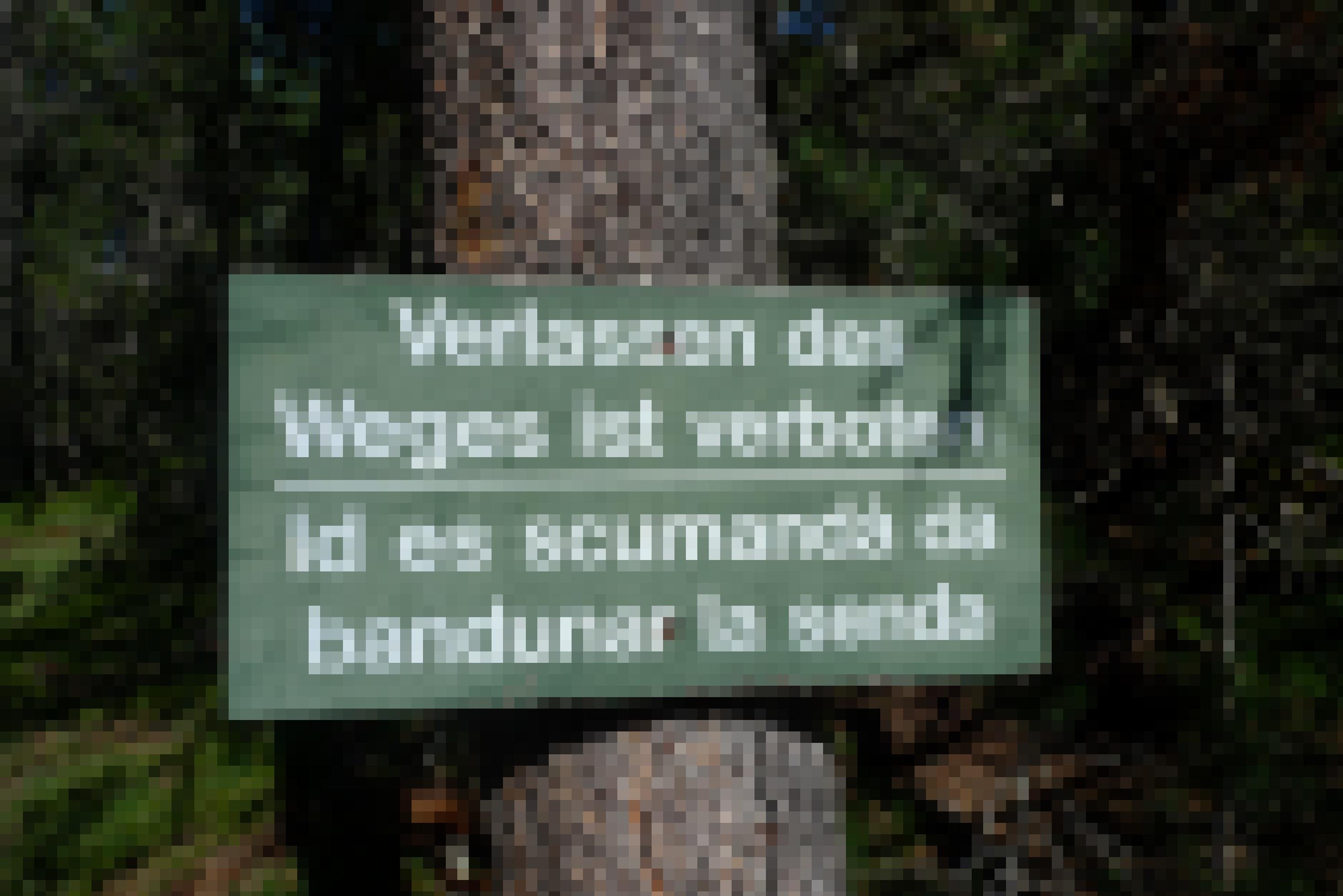 ein Schild an einem Baum [AI]