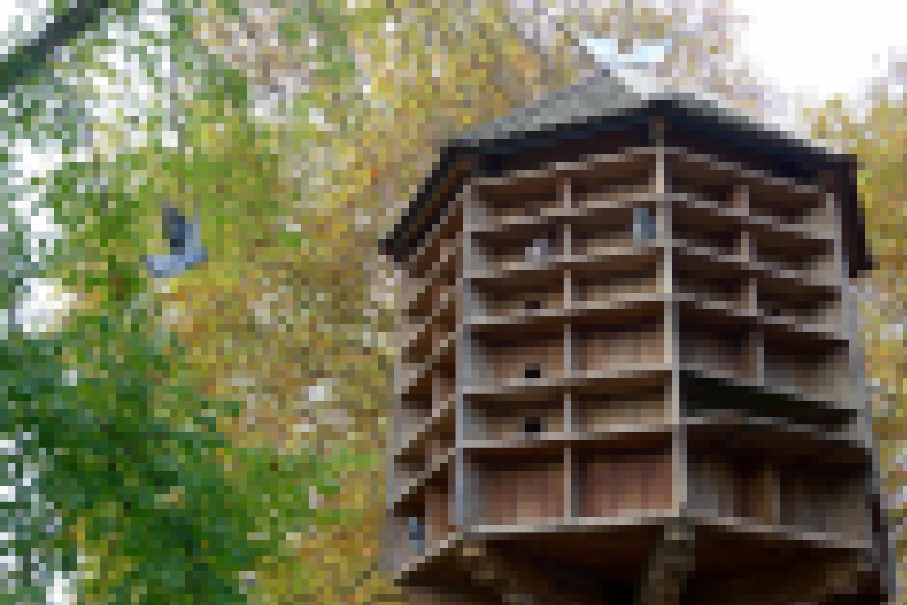 ein Vogelhaus mit vielen Vögeln darin [AI]