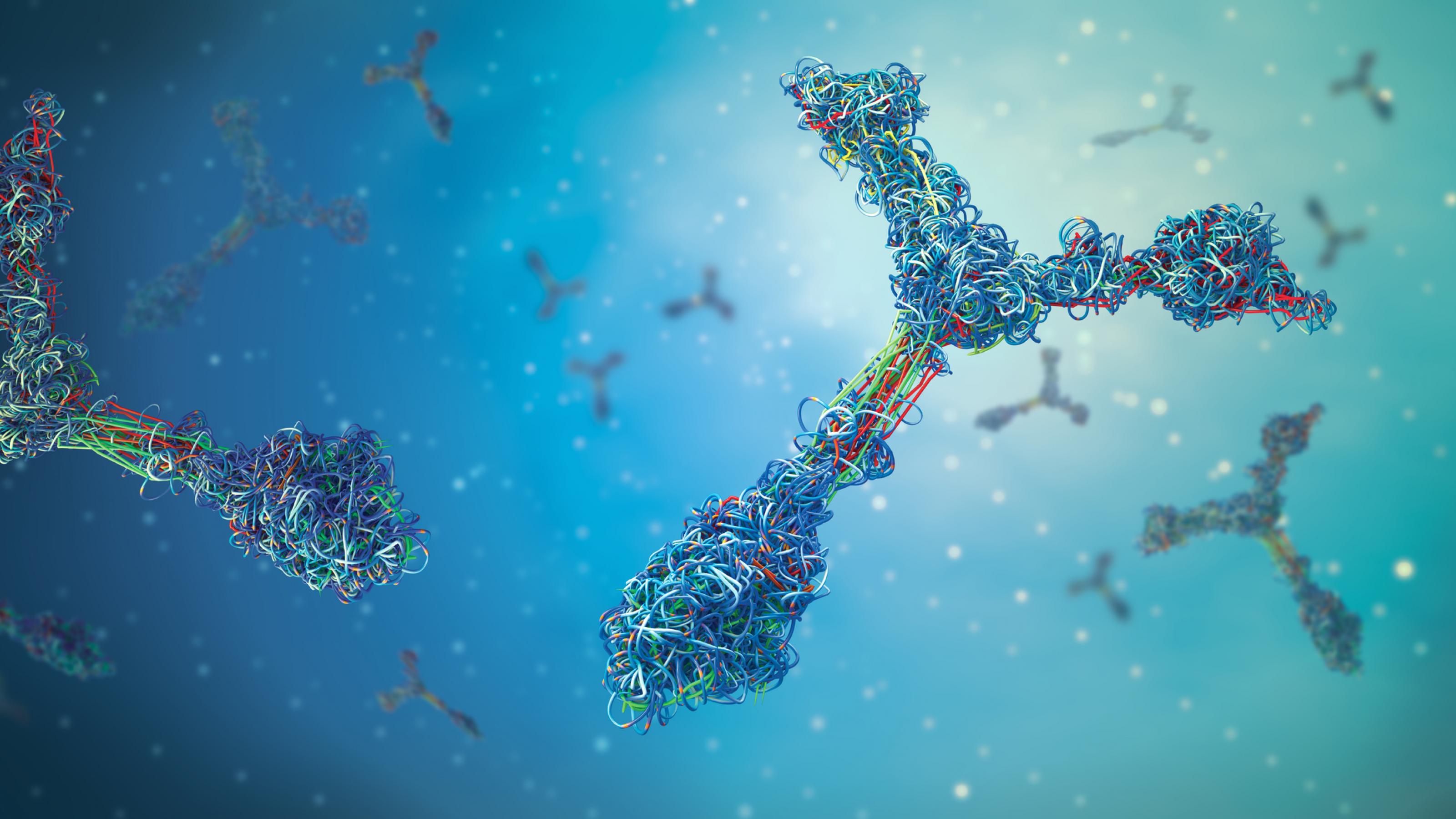 Dreidimensionale Darstellung von Immunglobulinen, die zur Klasse der Proteine gehören.