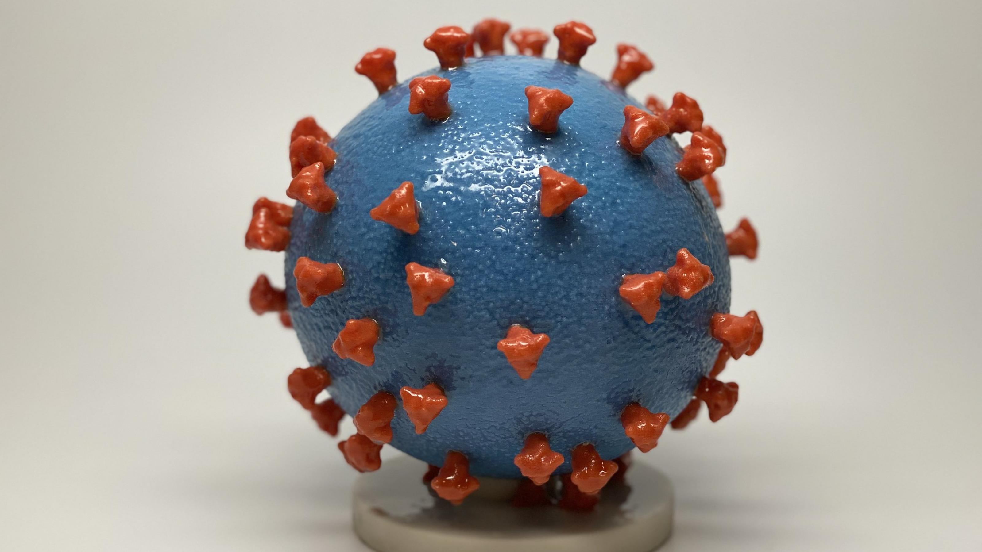 Ein 3D-Modell vom Coronavirus