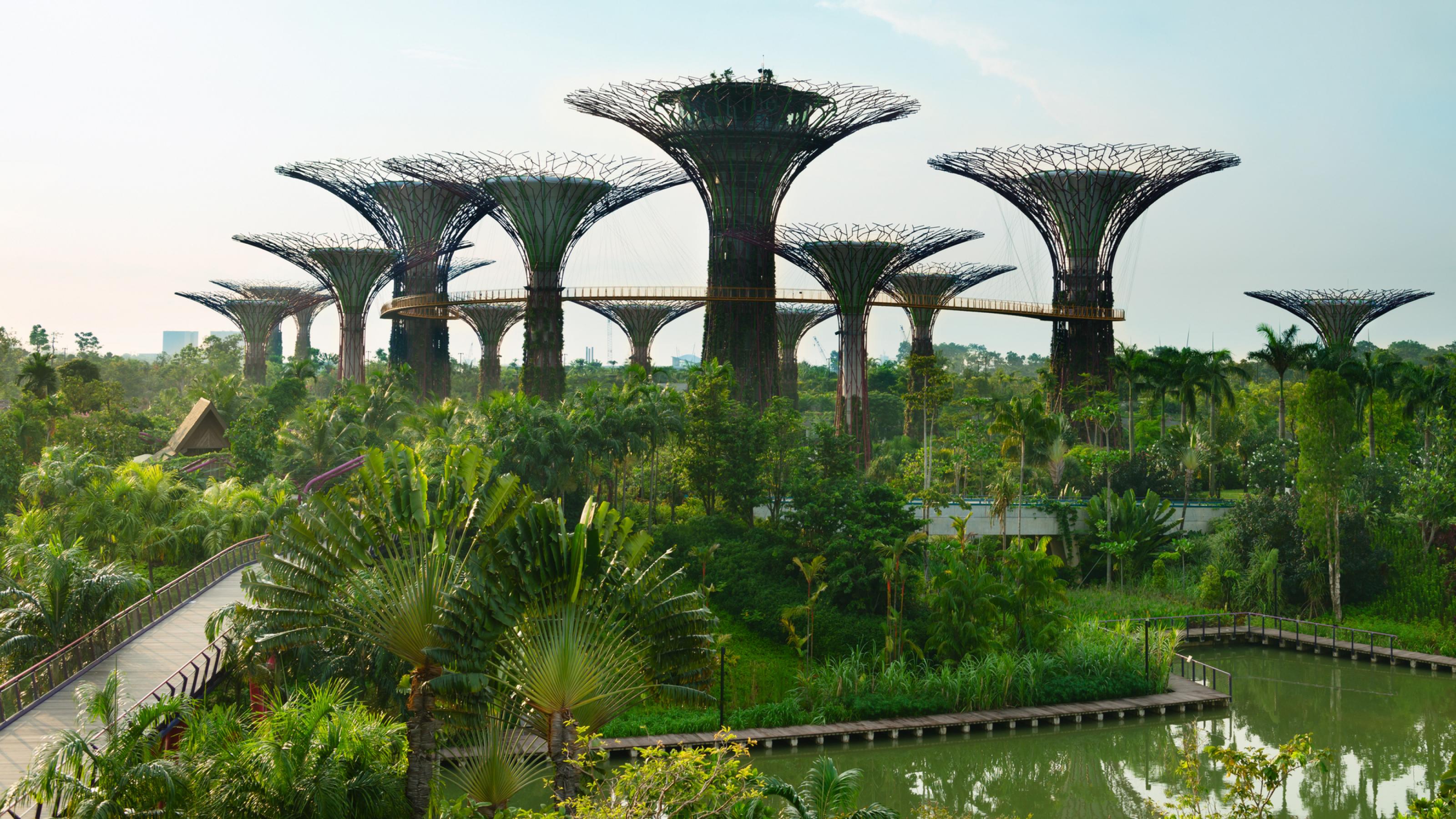 EIn palmenbestandener Park am Wasser, darüber elf fächerförmige, teils begrünte Stahlkonstruktionen