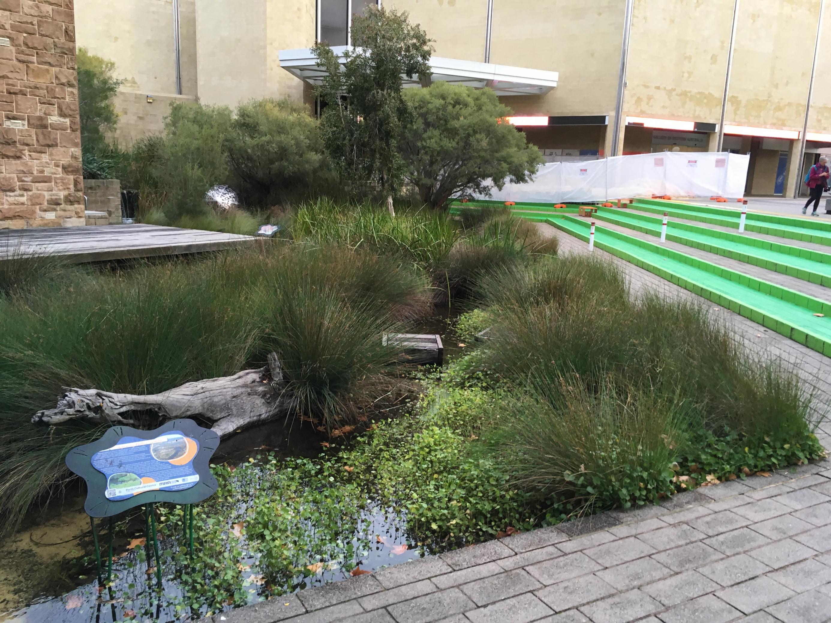 Zwischen Steineinfassung und Wasserfläche wachsen Binsen, Kräuter und halbhohe Büsche