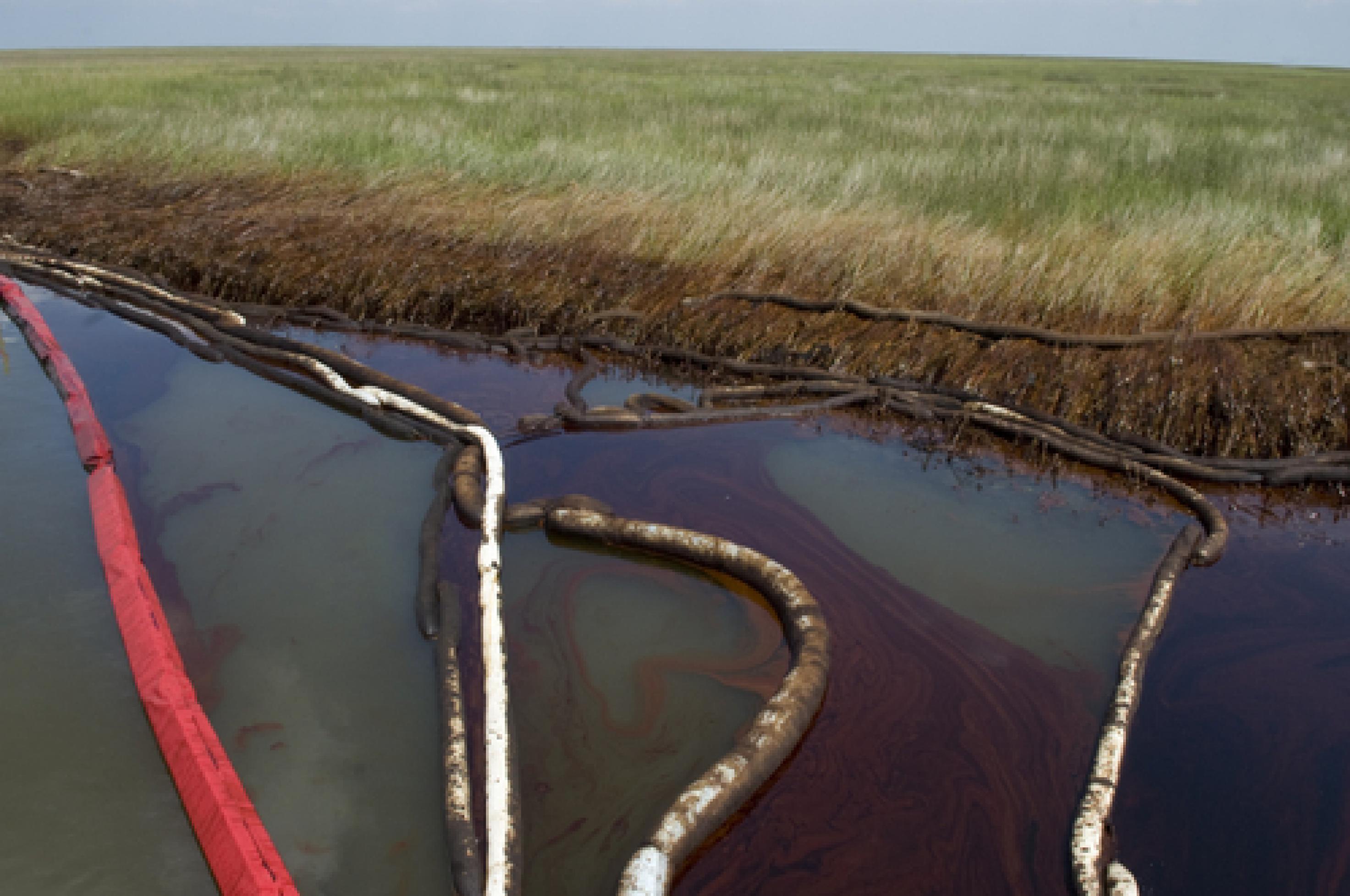 Öl schwimmt auf beiden Seiten von Ölbarrieren und verschmutzt auch das Gras des Marschlands.