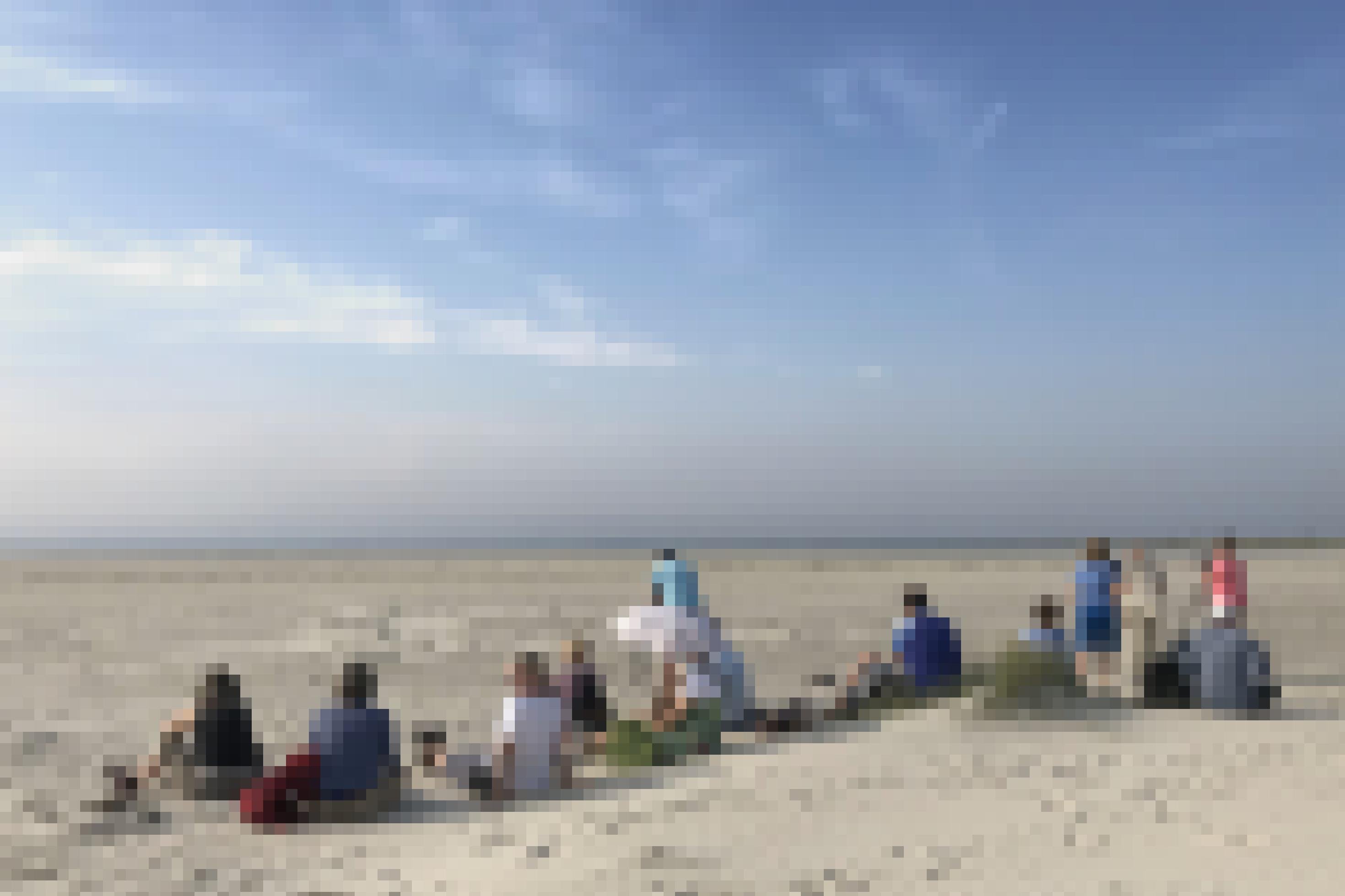 Die Bildungsurlaubsgruppe sitzt und steht am Strand und schaut durch Ferngläser und Spektive.