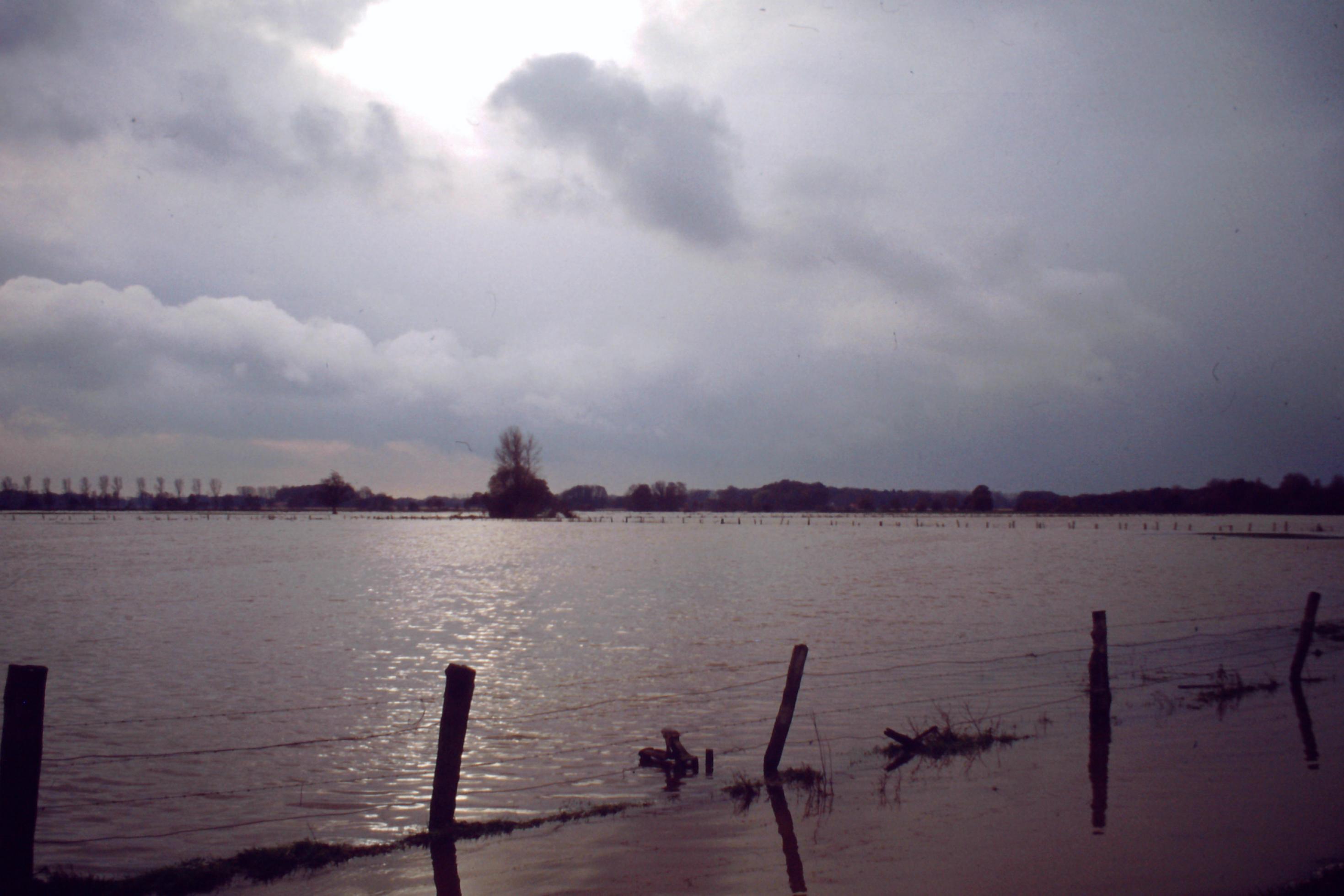 Überflutete Wiesen, Hochwasser in 1998.
